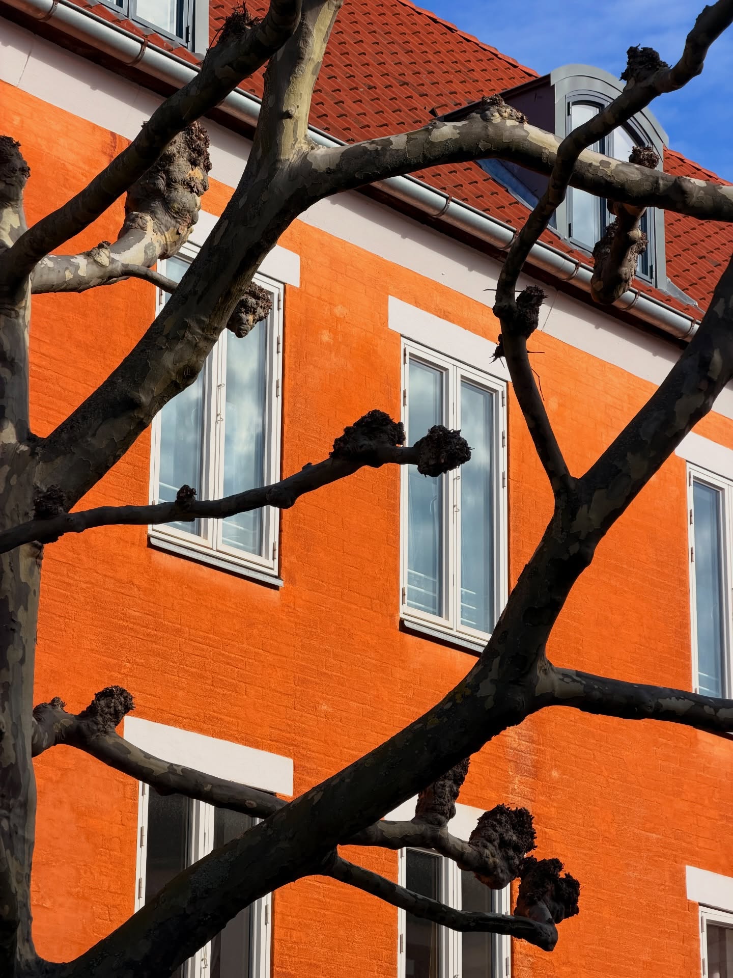 อาเล็ก - ธีรเดช เมธาวรายุทธ