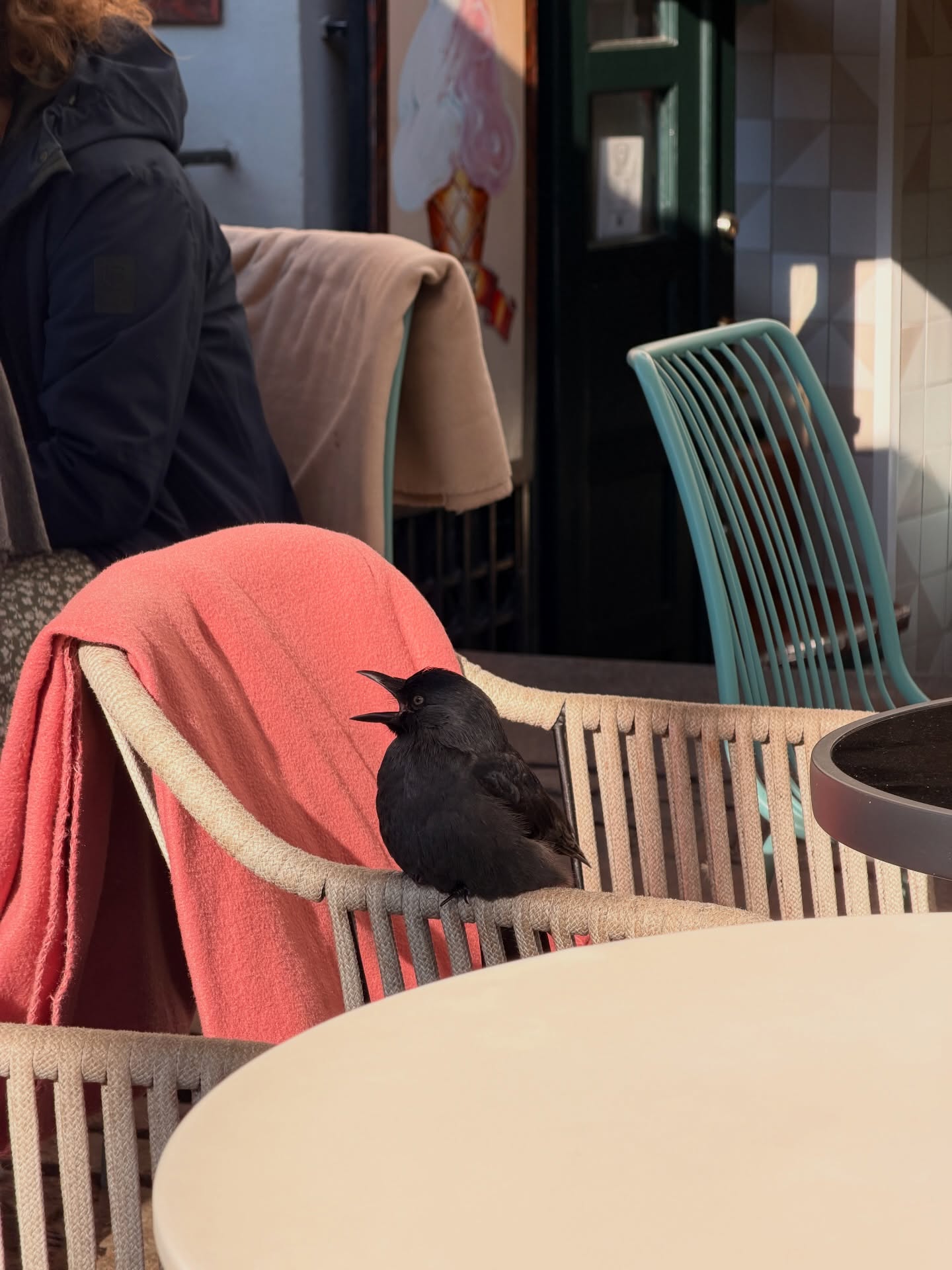 อาเล็ก - ธีรเดช เมธาวรายุทธ