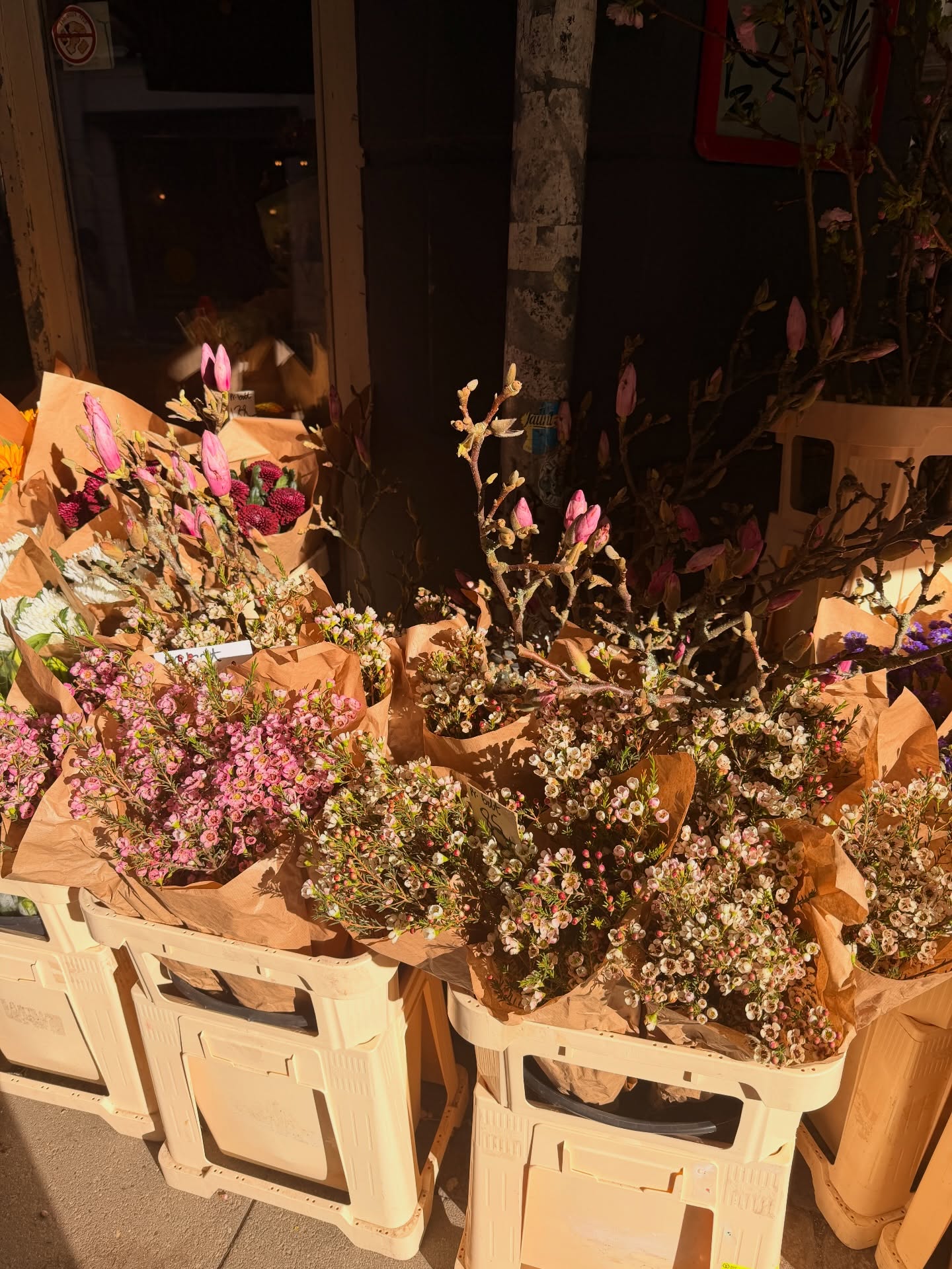 อาเล็ก - ธีรเดช เมธาวรายุทธ