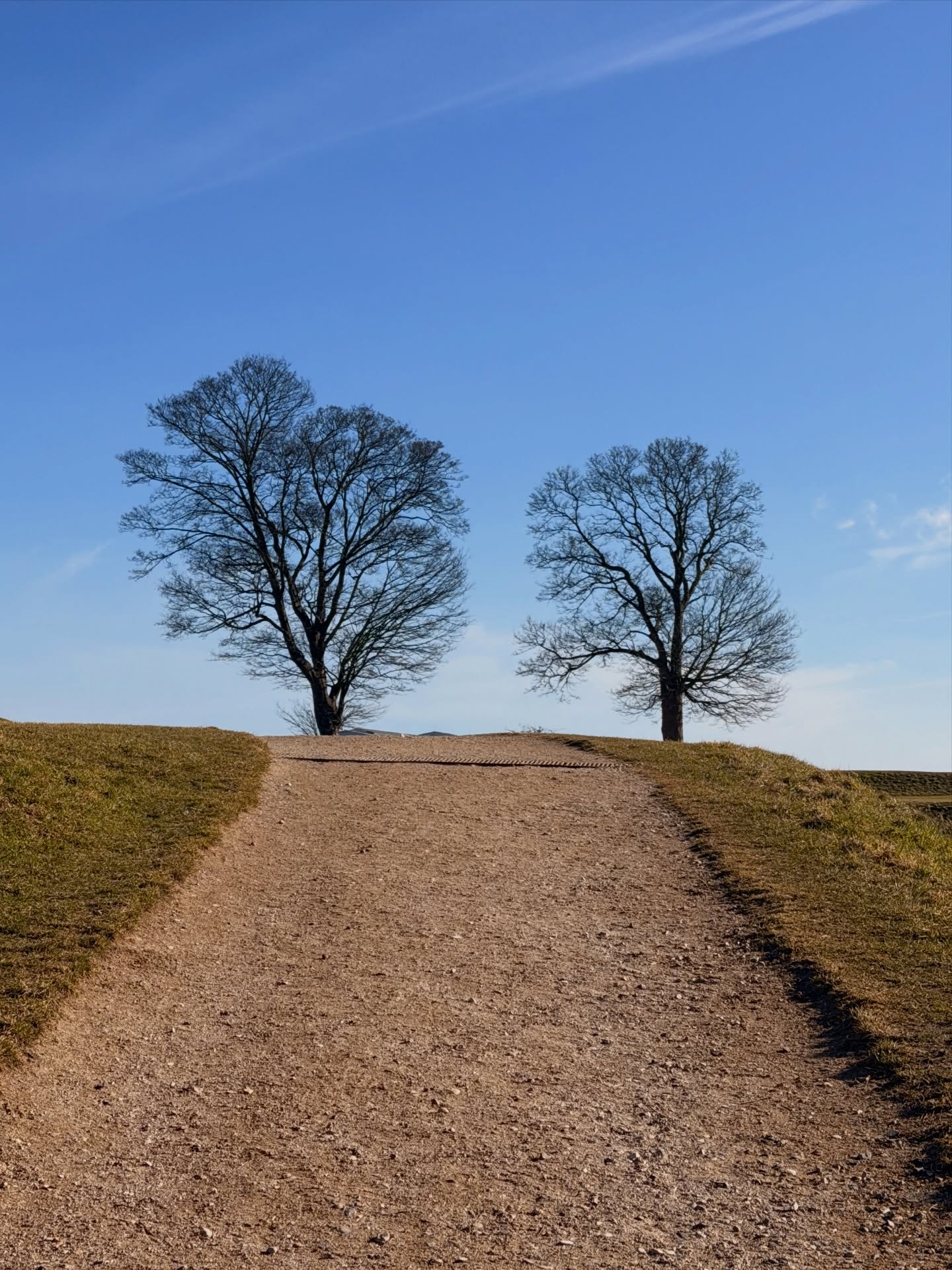 อาเล็ก - ธีรเดช เมธาวรายุทธ