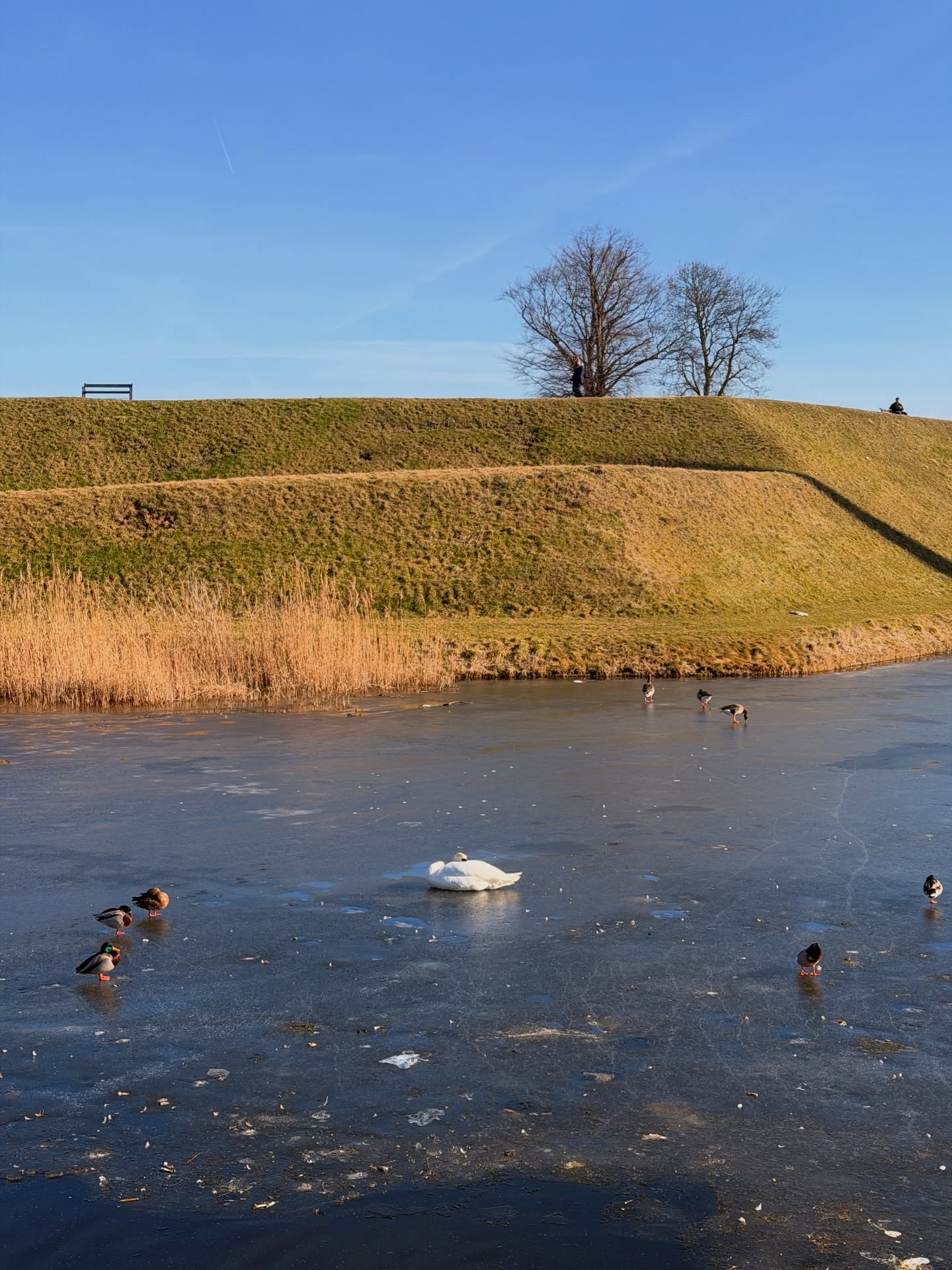 อาเล็ก - ธีรเดช เมธาวรายุทธ
