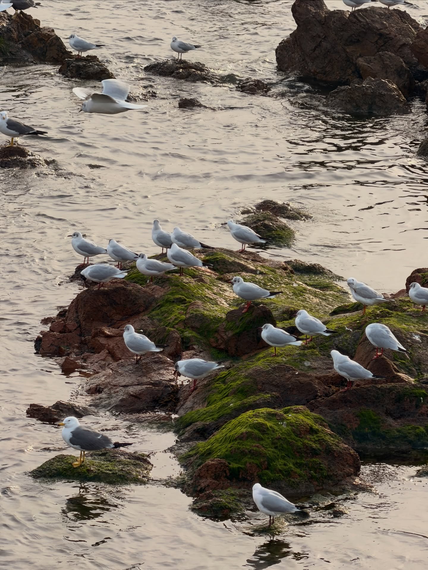 อาเล็ก - ธีรเดช เมธาวรายุทธ