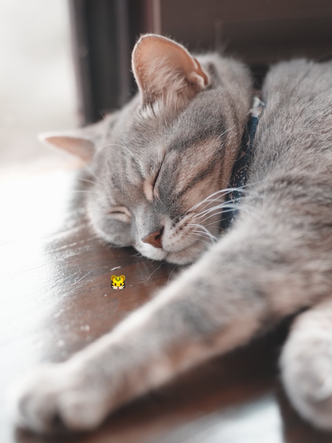 อาเล็ก - ธีรเดช เมธาวรายุทธ