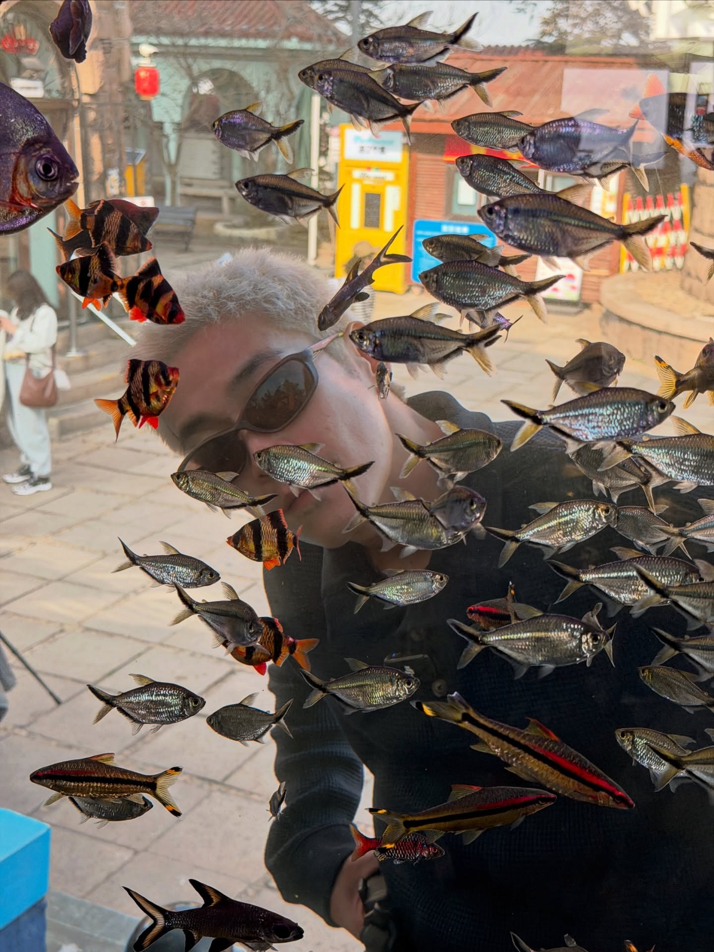 อาเล็ก - ธีรเดช เมธาวรายุทธ