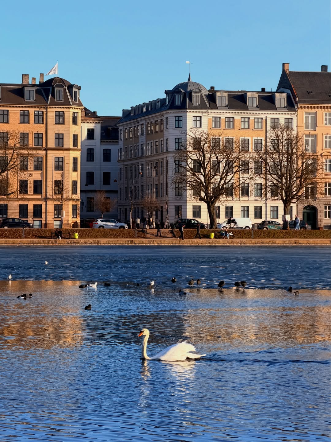 อาเล็ก - ธีรเดช เมธาวรายุทธ