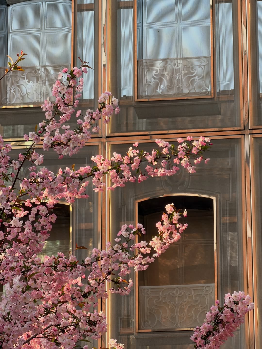 อาเล็ก - ธีรเดช เมธาวรายุทธ