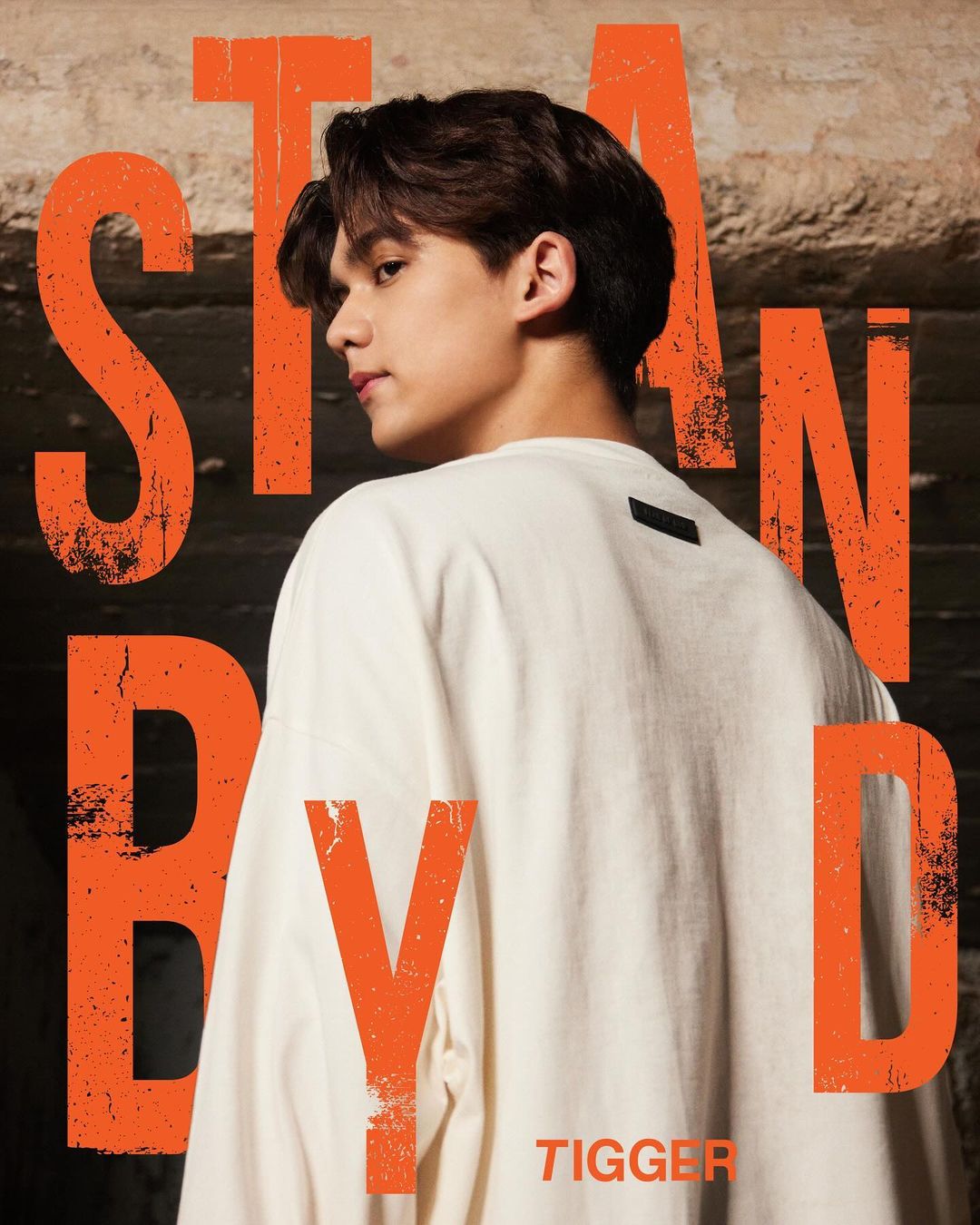 ทิกเกอร์ - อชิระ เทริโอ