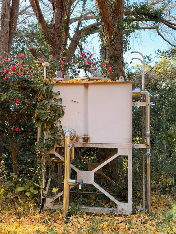 ทิกเกอร์ - อชิระ เทริโอ