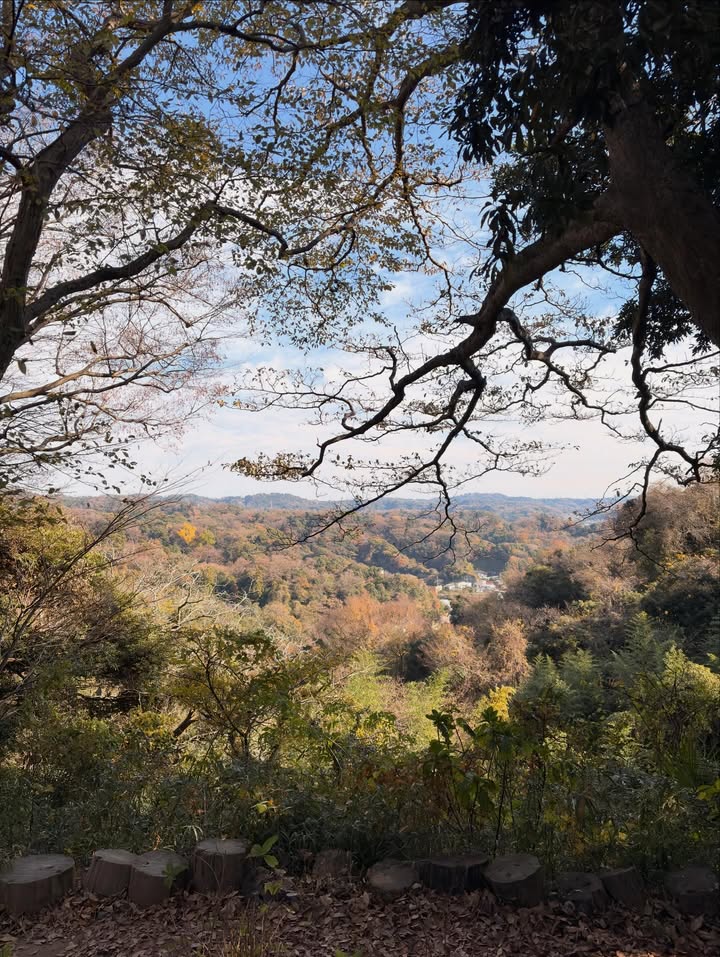 ทิกเกอร์ - อชิระ เทริโอ