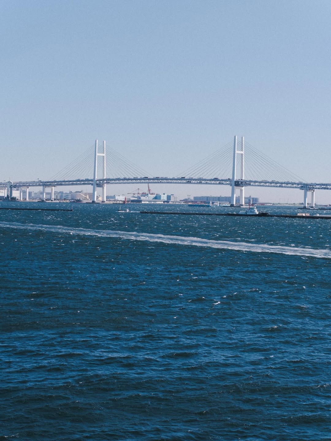 ทิกเกอร์ - อชิระ เทริโอ