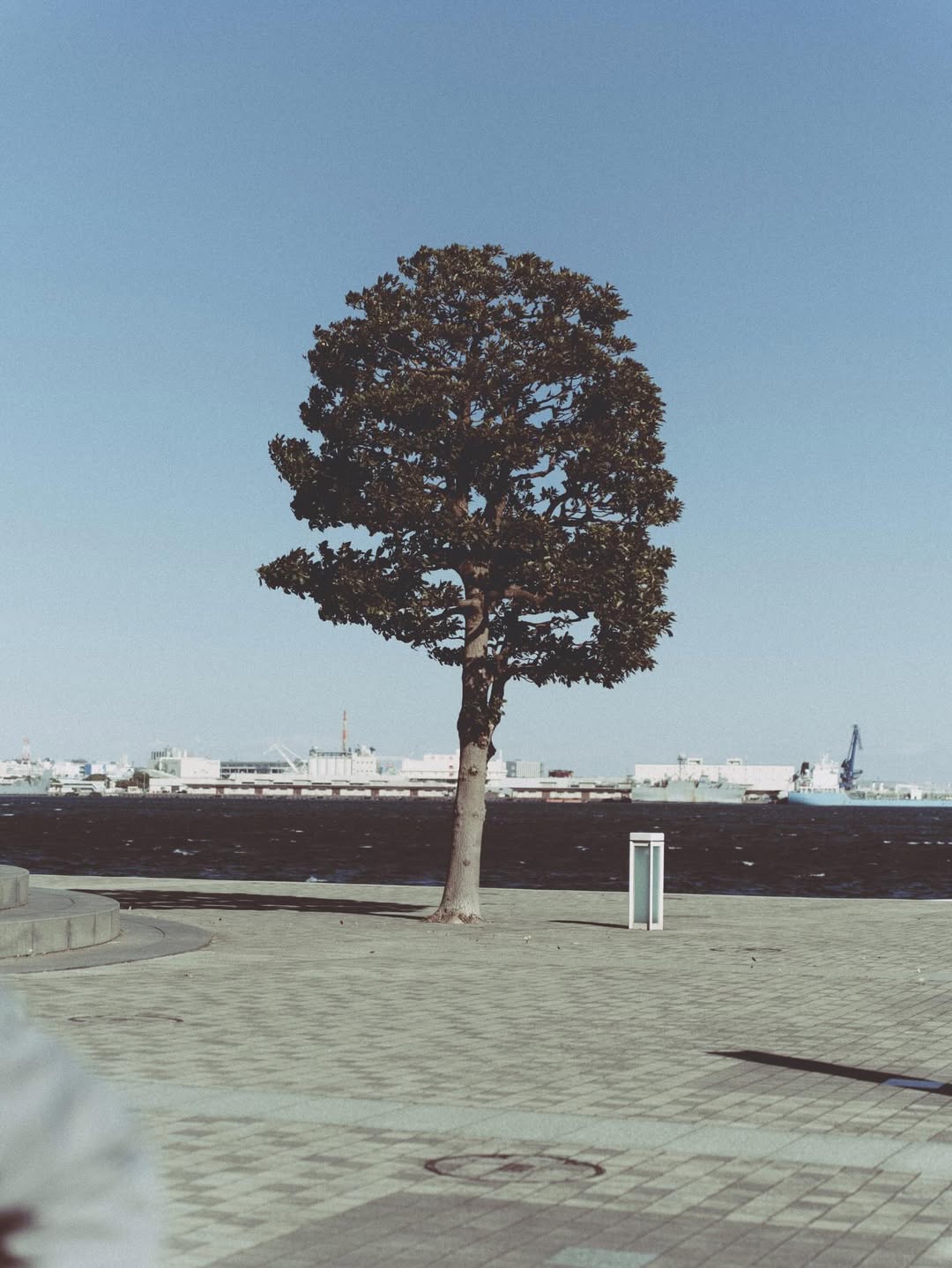 ทิกเกอร์ - อชิระ เทริโอ