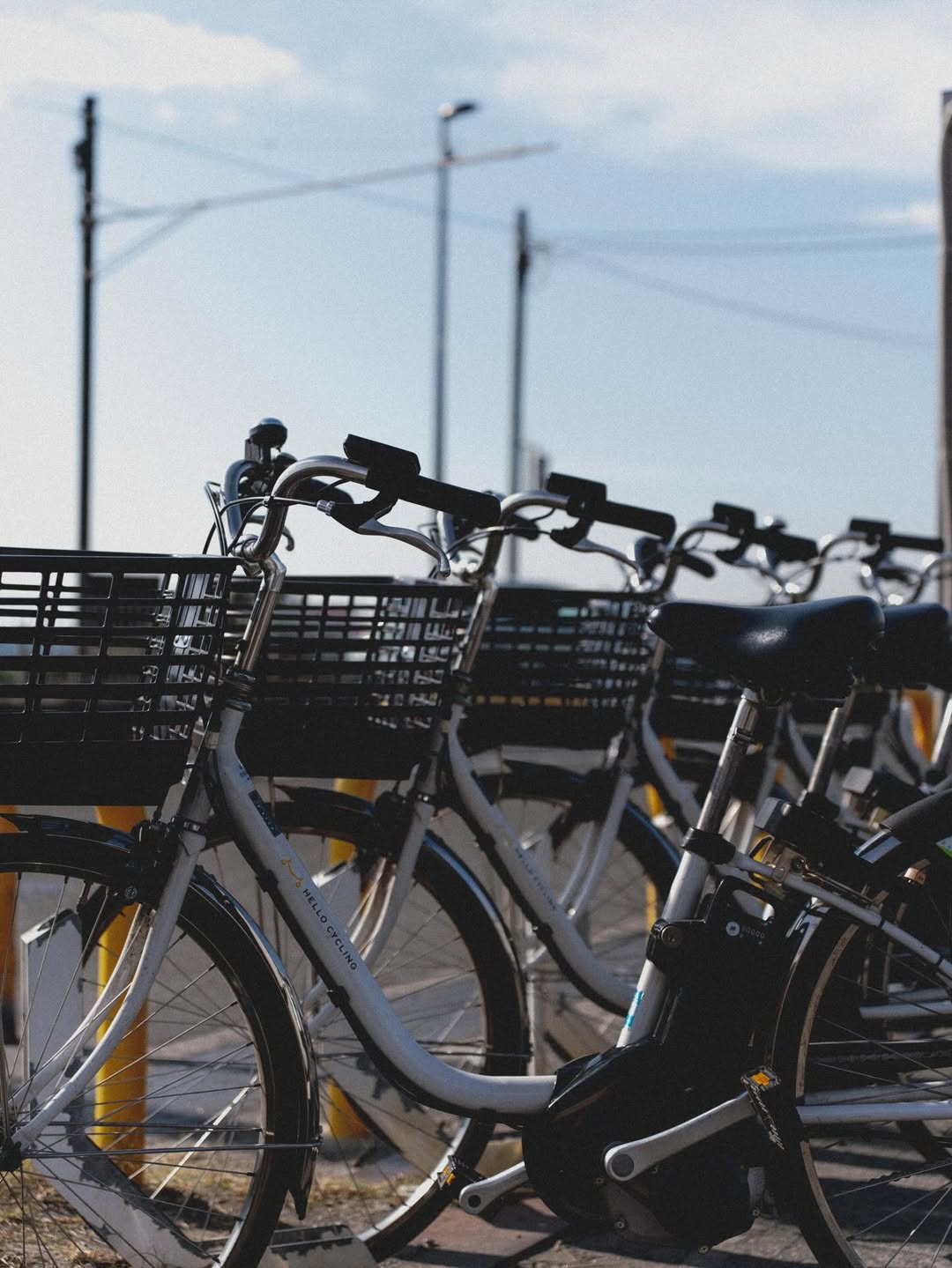 ทิกเกอร์ - อชิระ เทริโอ