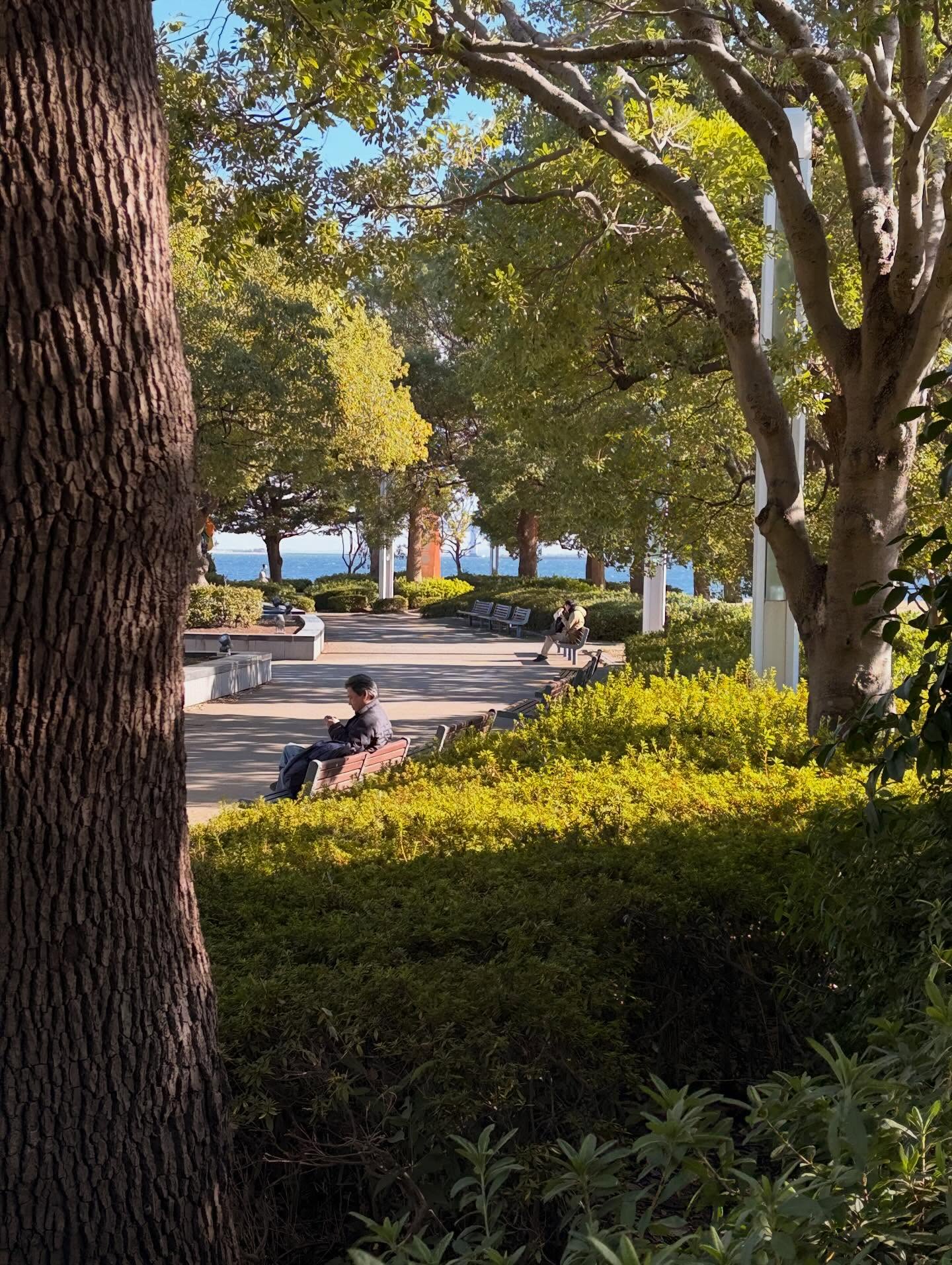 ทิกเกอร์ - อชิระ เทริโอ