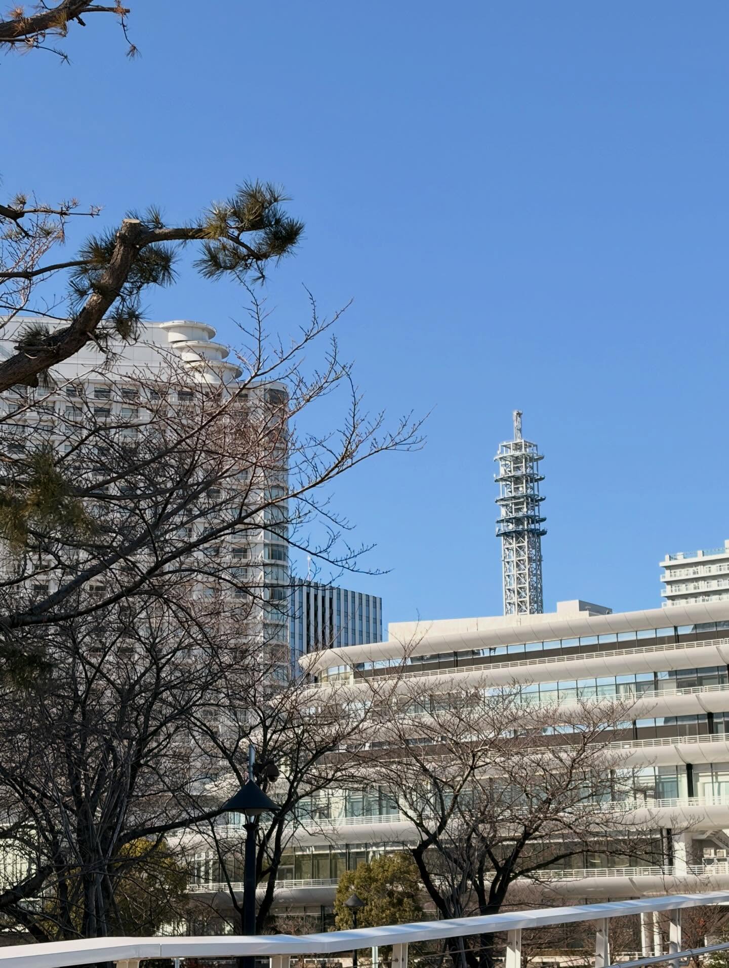 ทิกเกอร์ - อชิระ เทริโอ