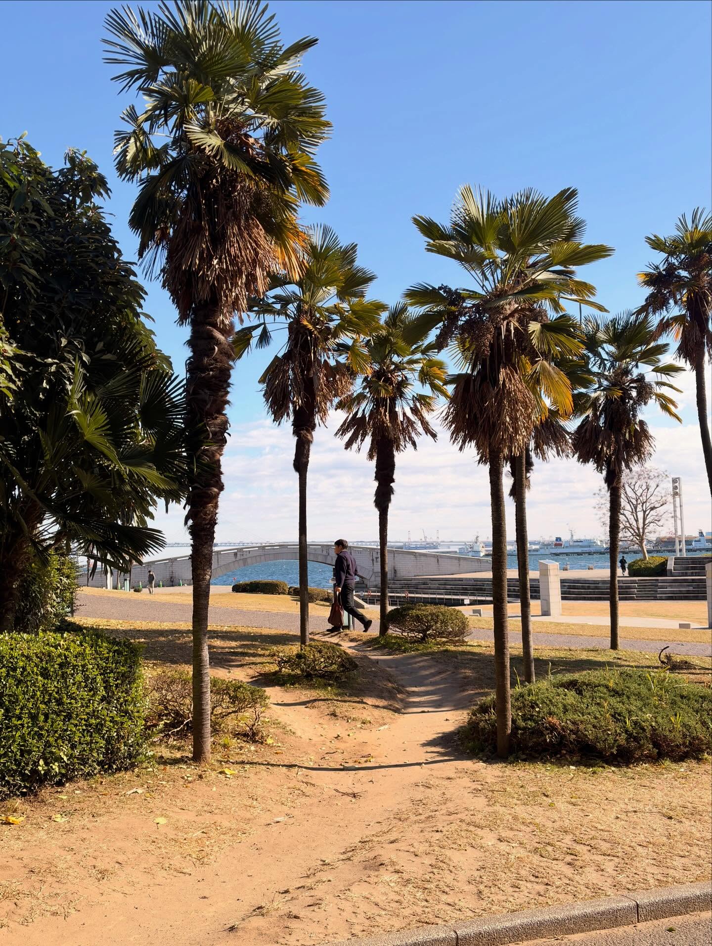 ทิกเกอร์ - อชิระ เทริโอ