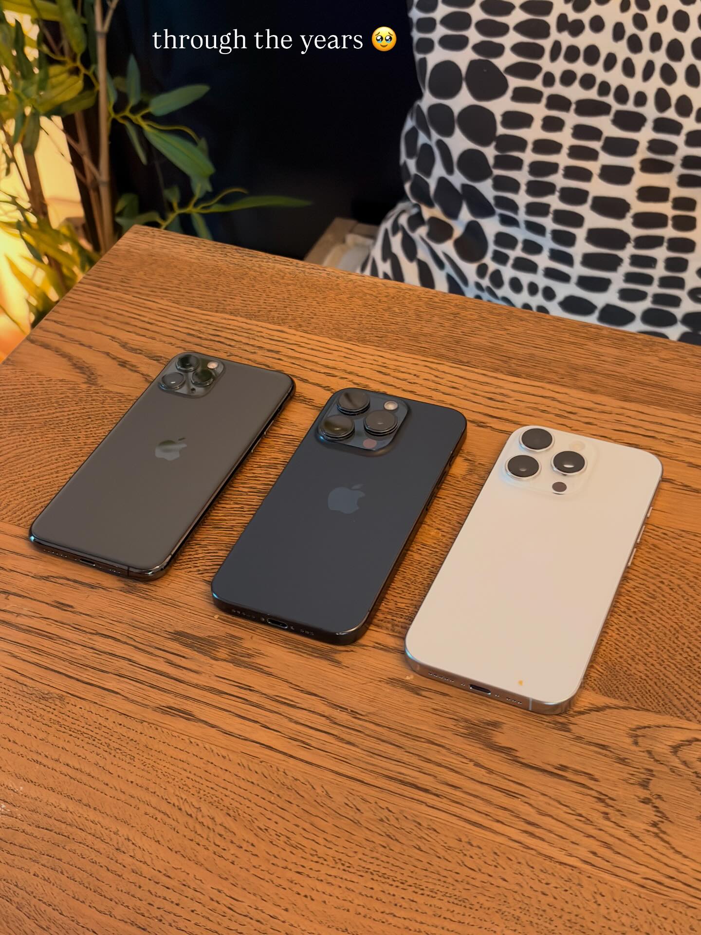 ทิกเกอร์ - อชิระ เทริโอ