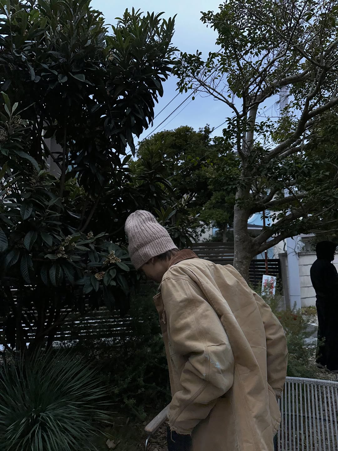 ทิกเกอร์ - อชิระ เทริโอ