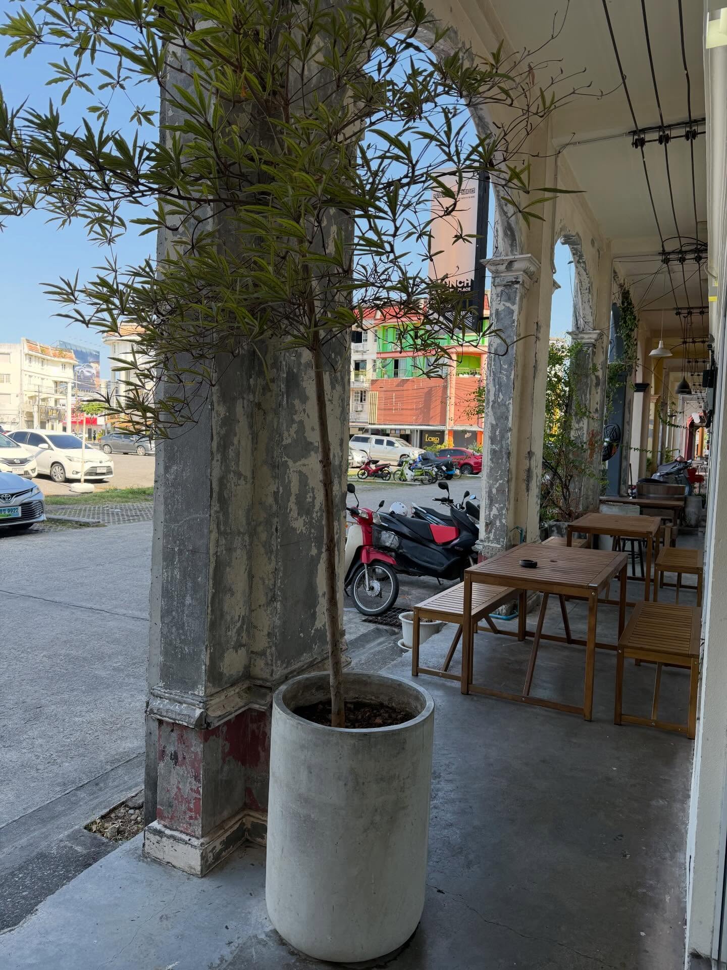 น้ำฝน กุลณัฐ