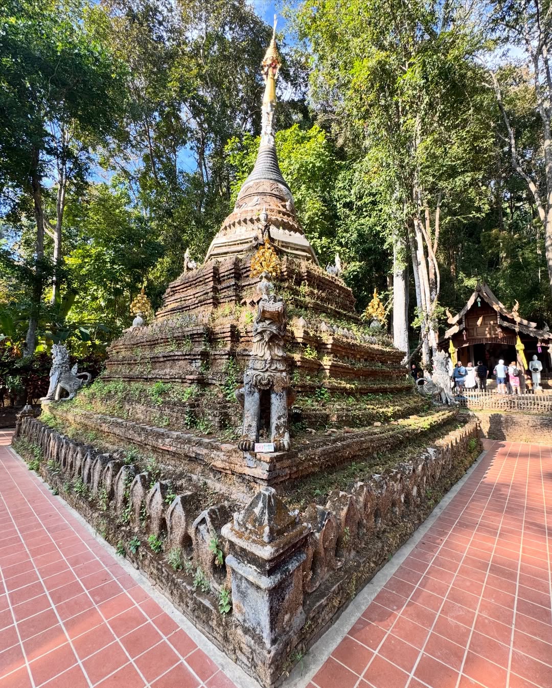 อุ๋ม - อาภาศิริ จันทรัศมี