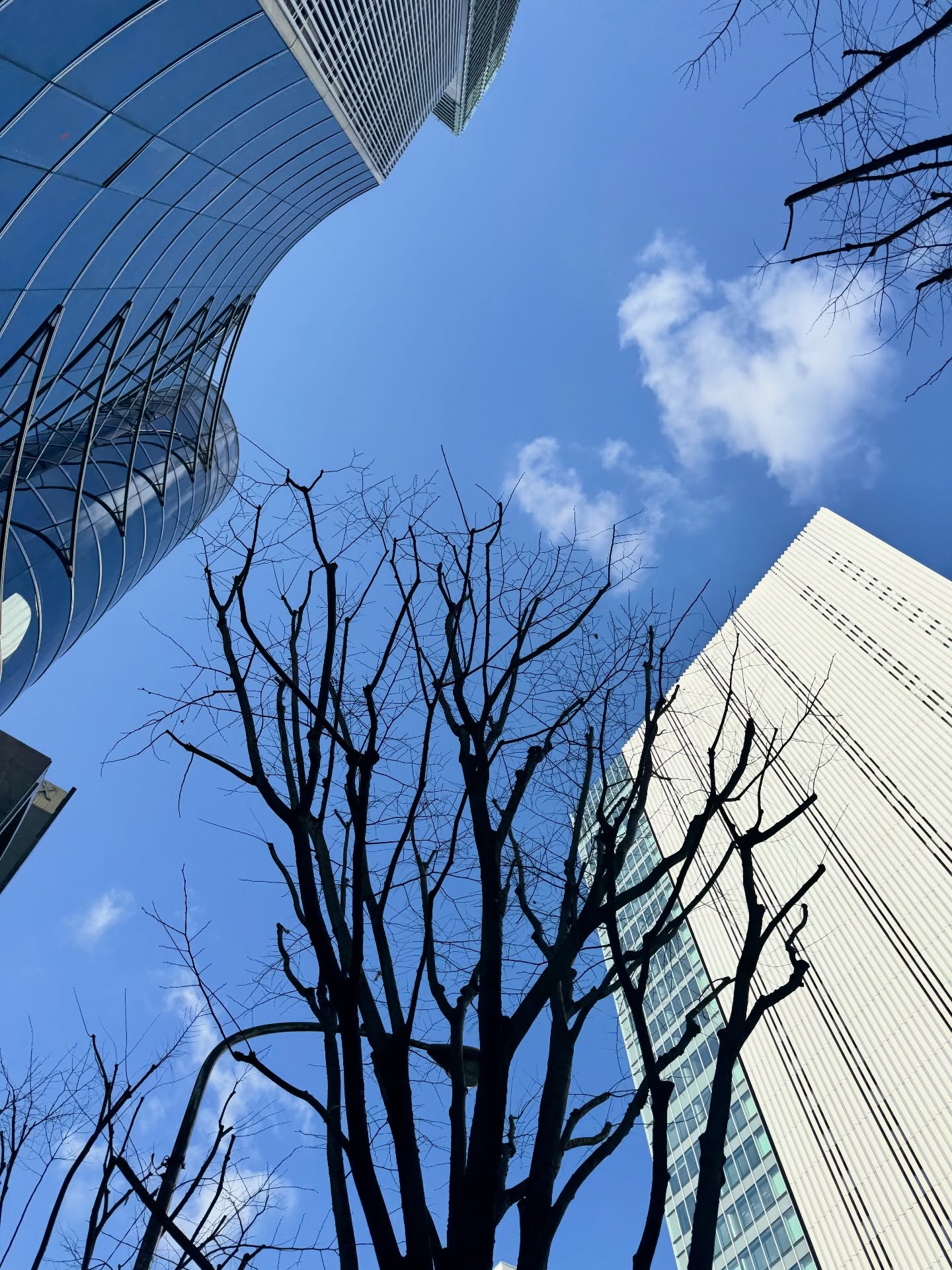 อุ๋ม - อาภาศิริ จันทรัศมี