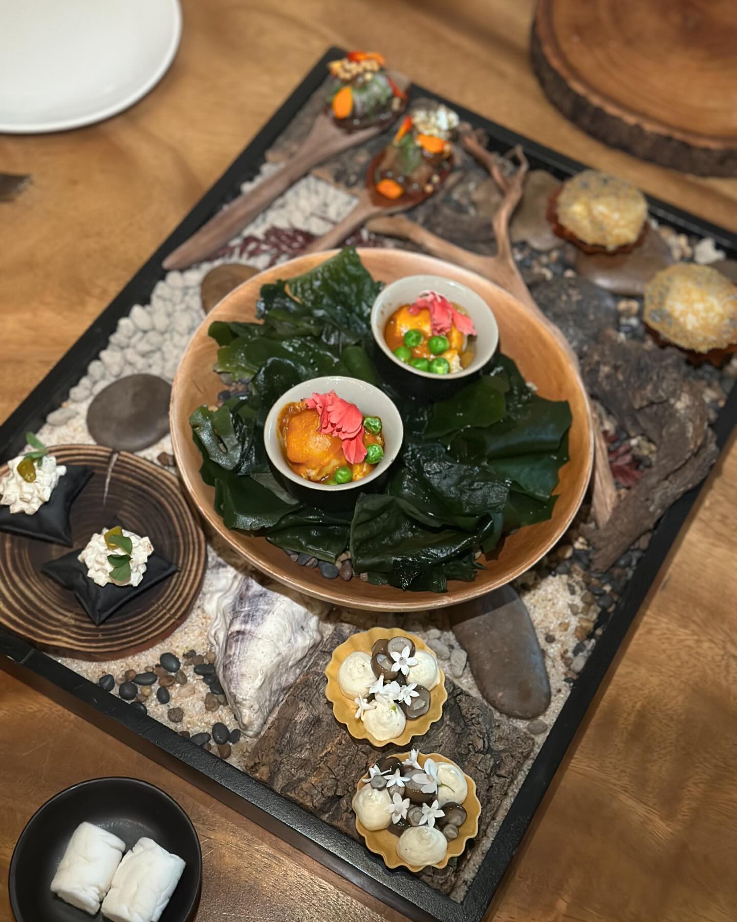 นิวเคลียร์ - หรรษา จึงวิวัฒนวงศ์