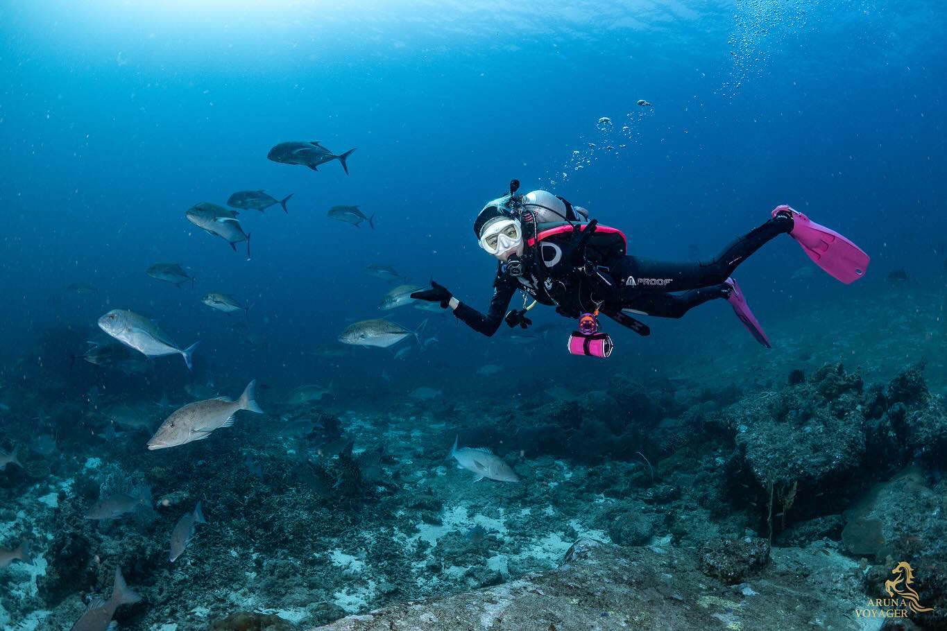 นิวเคลียร์ - หรรษา จึงวิวัฒนวงศ์