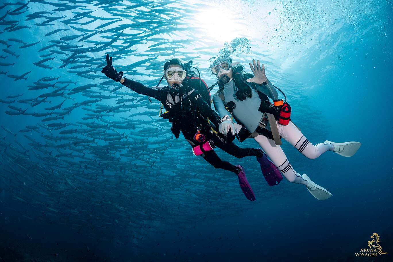 นิวเคลียร์ - หรรษา จึงวิวัฒนวงศ์