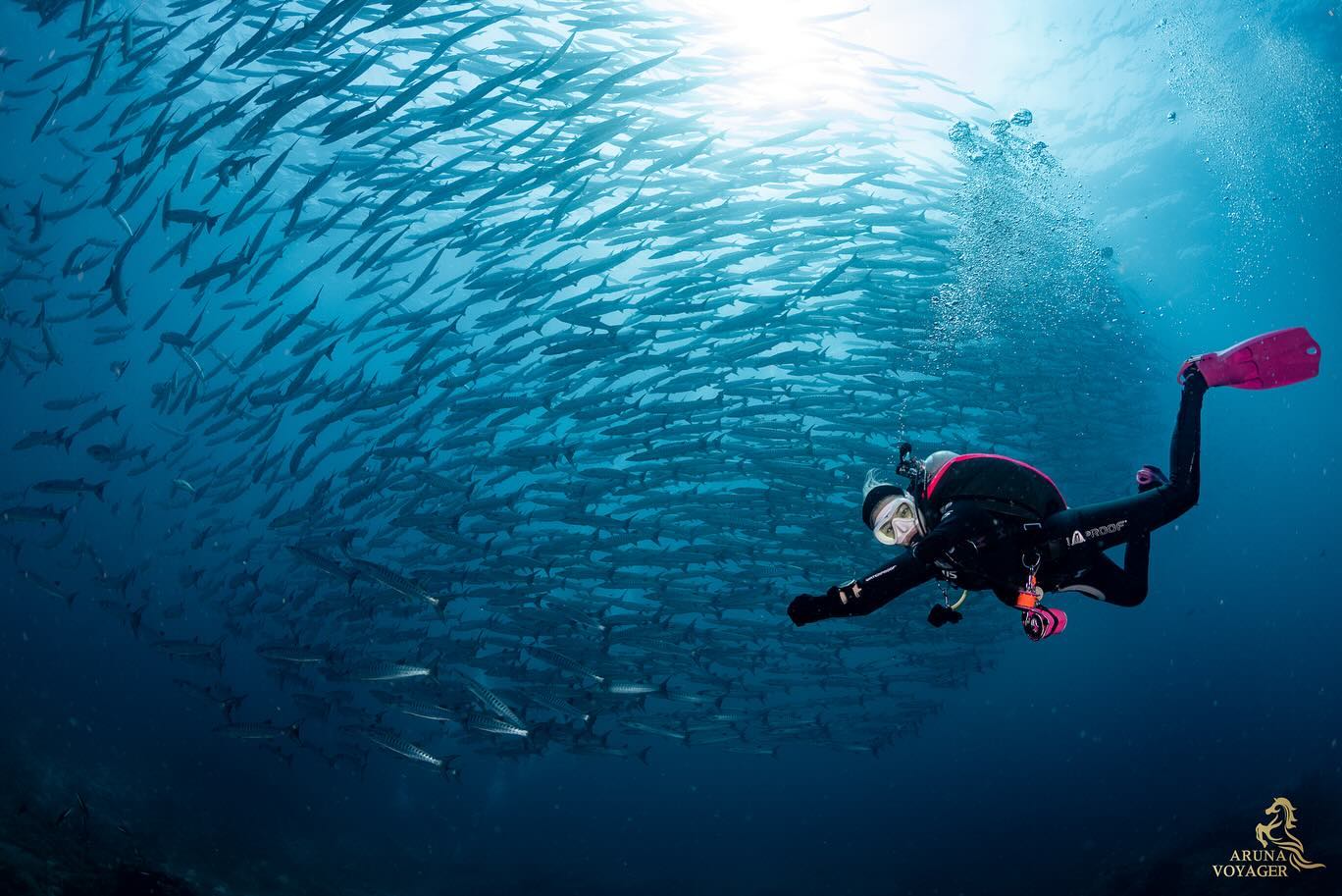 นิวเคลียร์ - หรรษา จึงวิวัฒนวงศ์