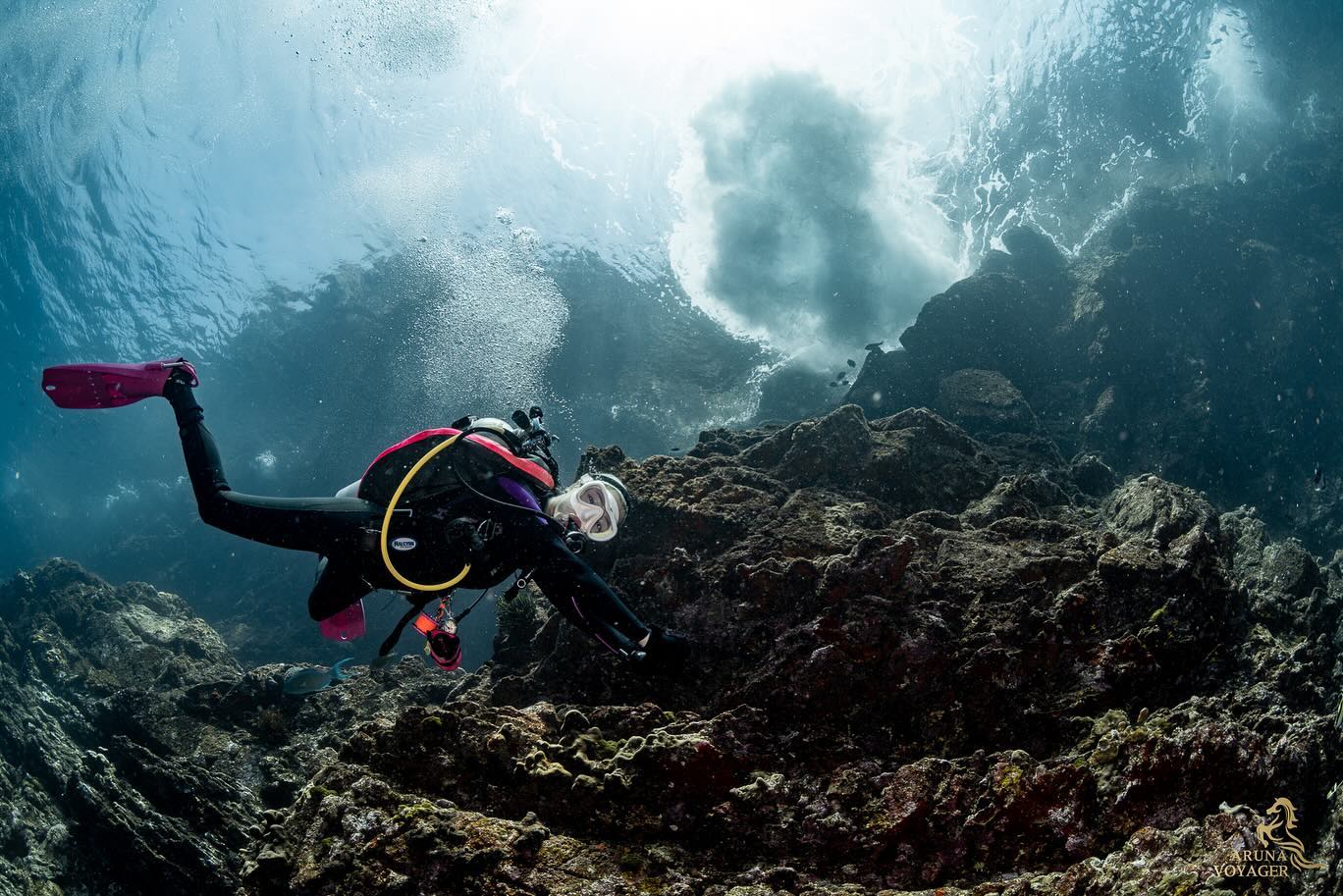 นิวเคลียร์ - หรรษา จึงวิวัฒนวงศ์