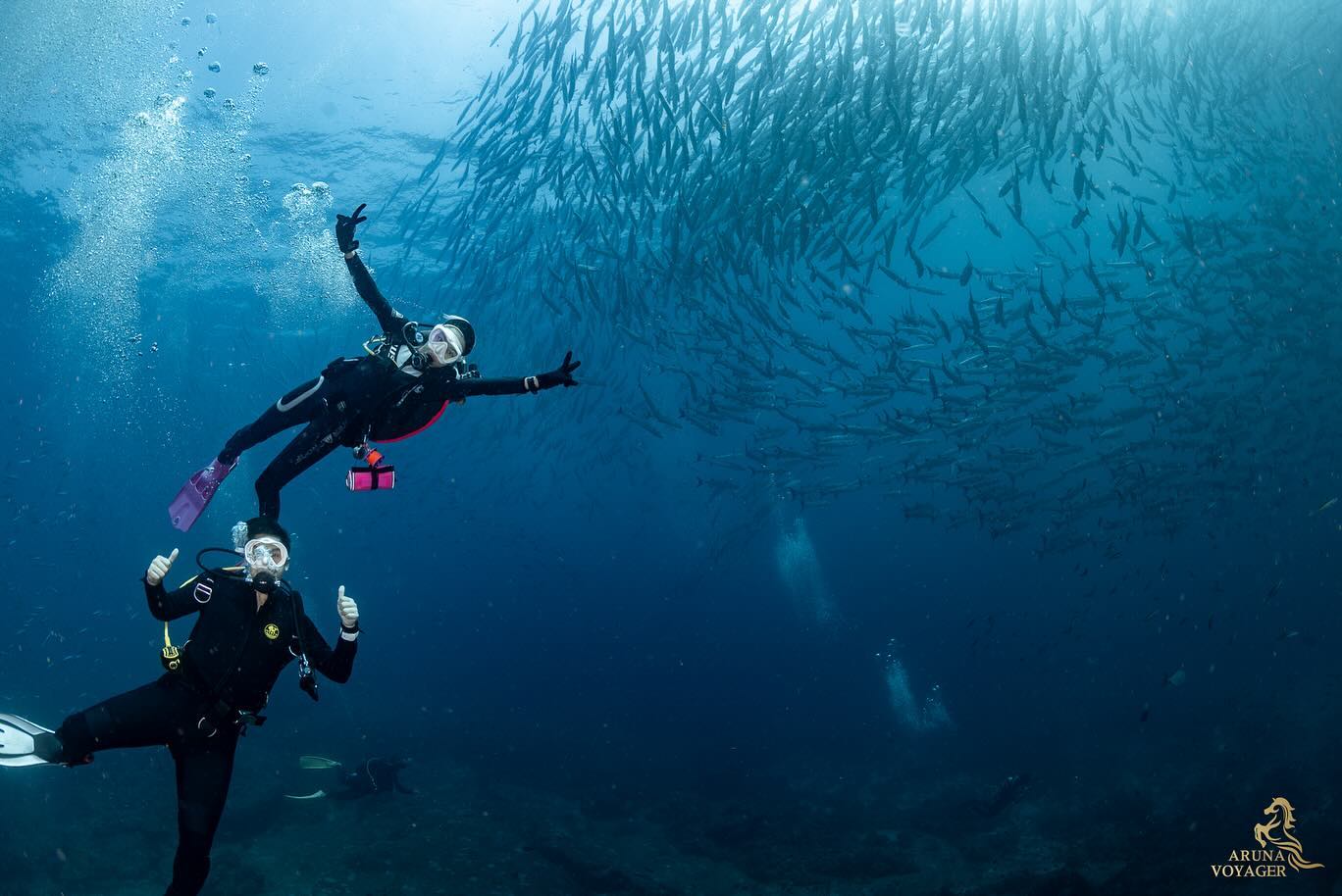 นิวเคลียร์ - หรรษา จึงวิวัฒนวงศ์