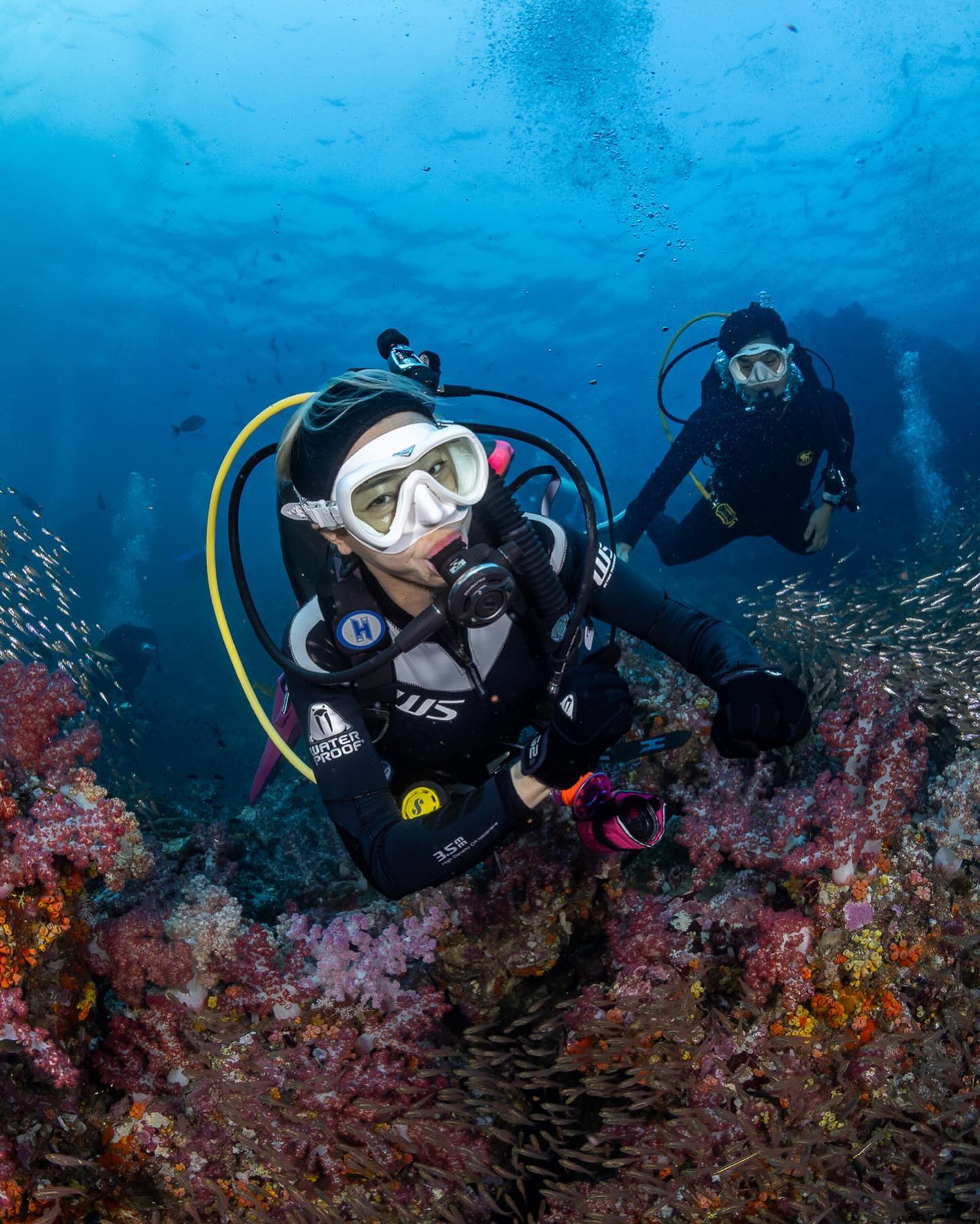 นิวเคลียร์ - หรรษา จึงวิวัฒนวงศ์