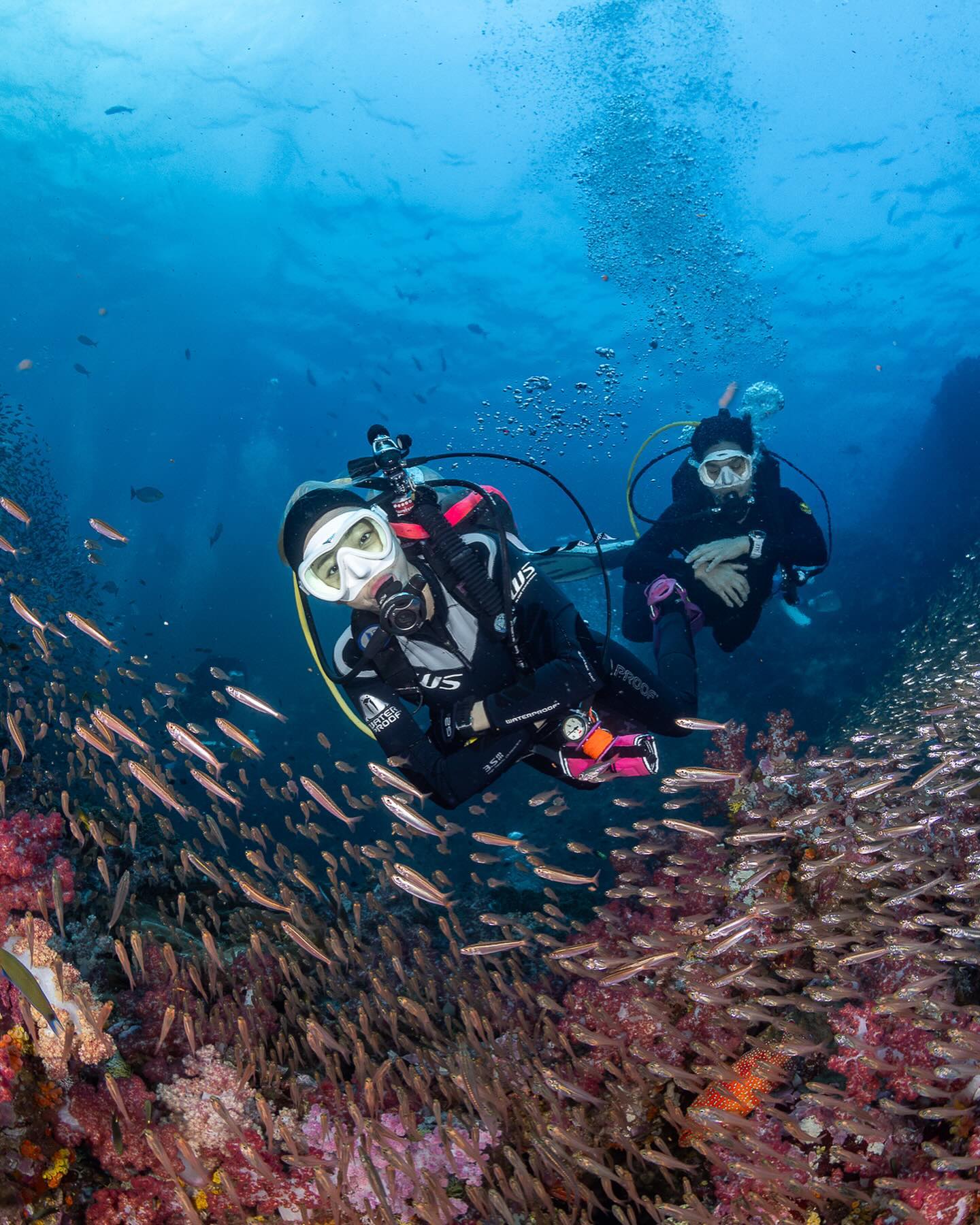 นิวเคลียร์ - หรรษา จึงวิวัฒนวงศ์