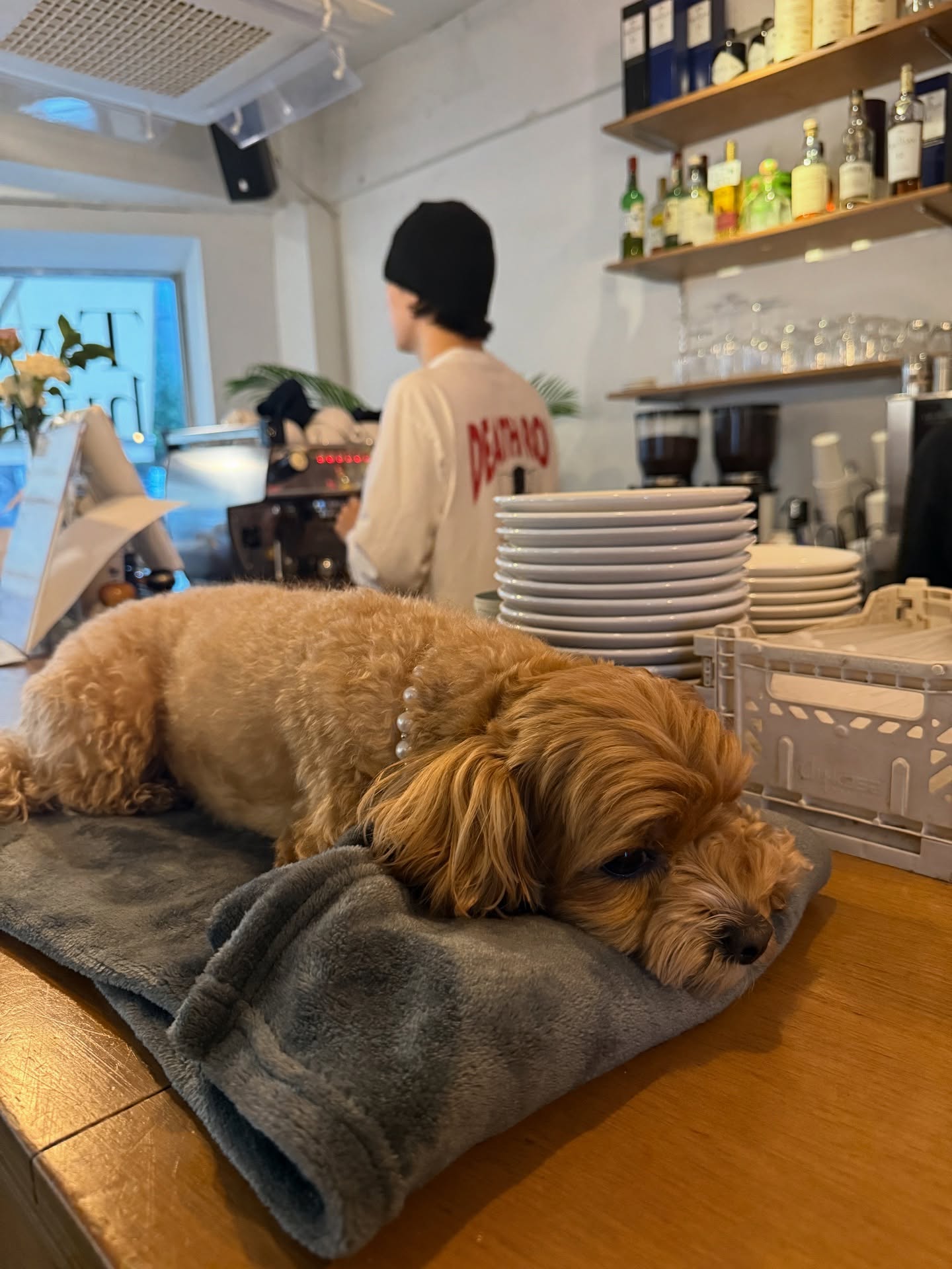 นิวเคลียร์ - หรรษา จึงวิวัฒนวงศ์