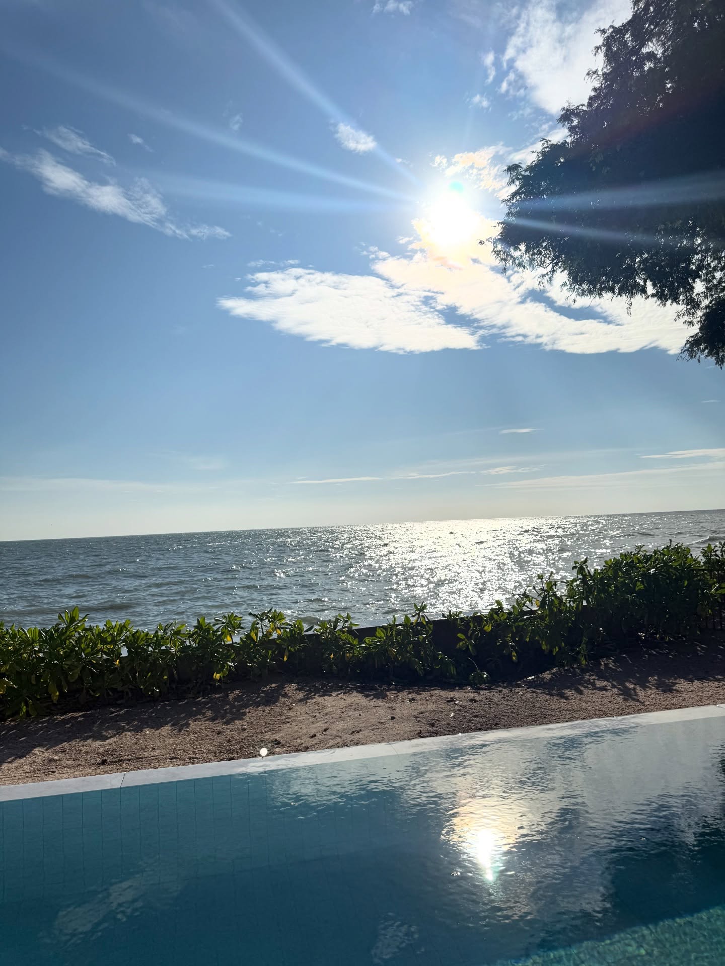 นิวเคลียร์ - หรรษา จึงวิวัฒนวงศ์