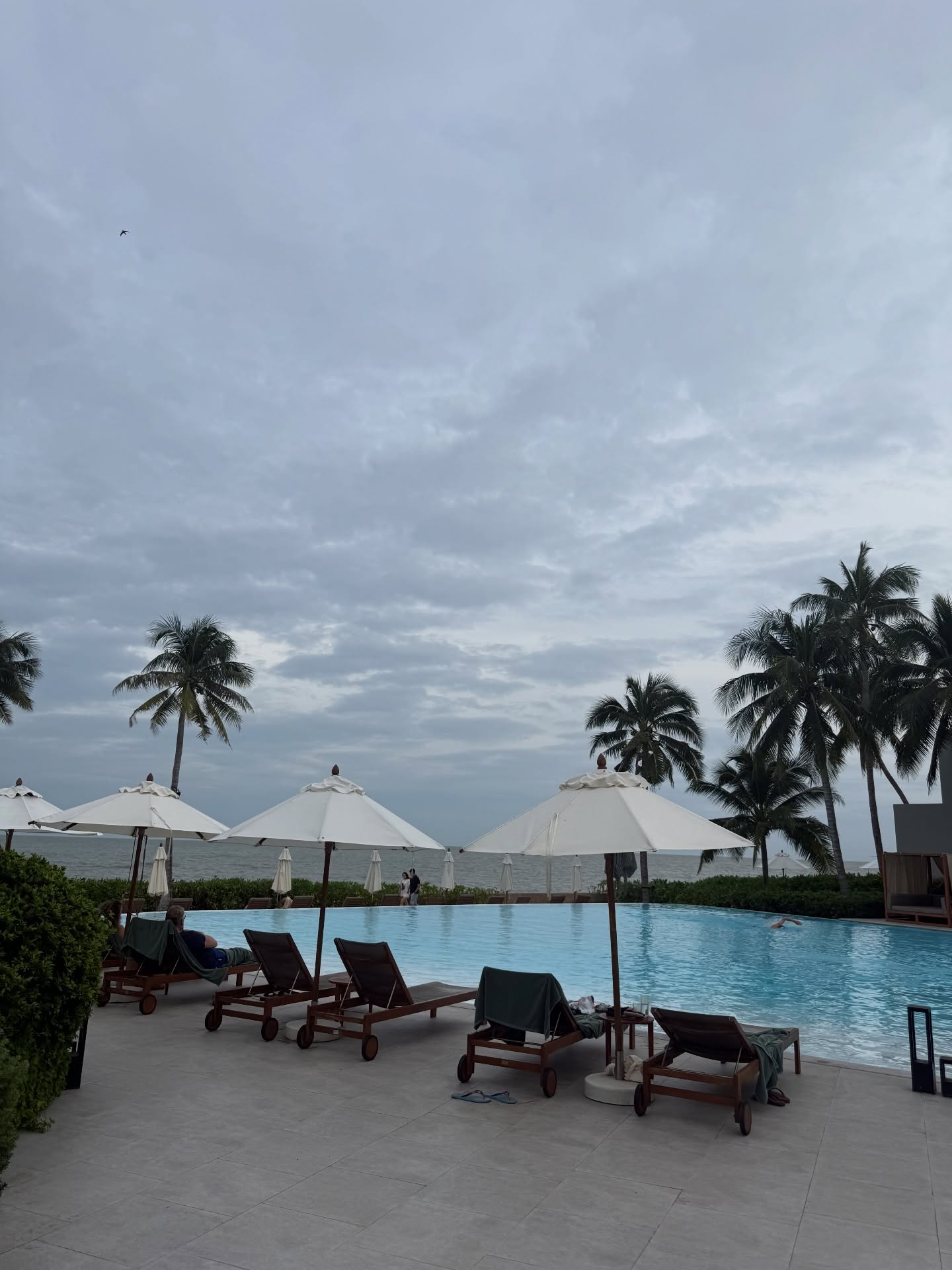 นิวเคลียร์ - หรรษา จึงวิวัฒนวงศ์