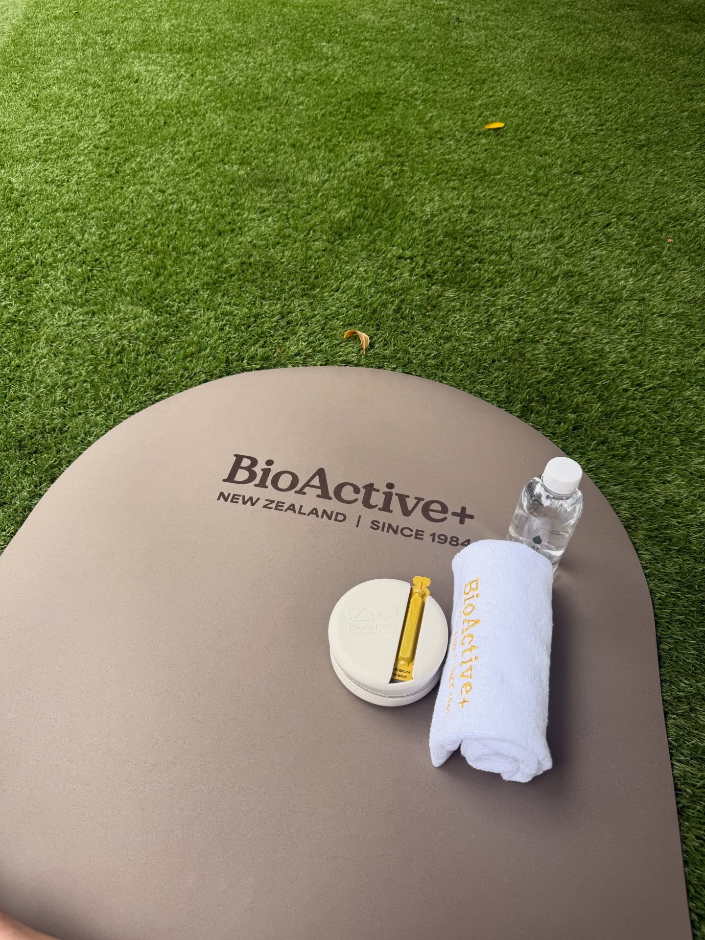 นิวเคลียร์ - หรรษา จึงวิวัฒนวงศ์