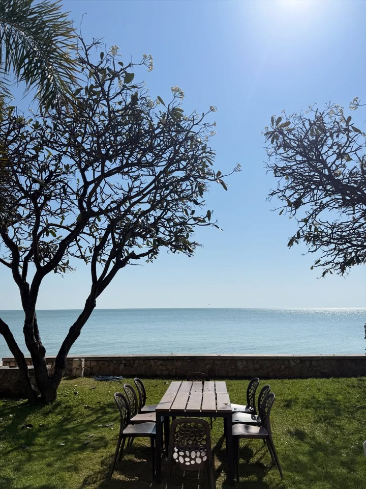 นิวเคลียร์ - หรรษา จึงวิวัฒนวงศ์