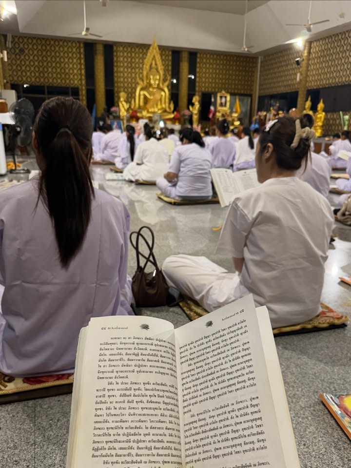 นิวเคลียร์ - หรรษา จึงวิวัฒนวงศ์