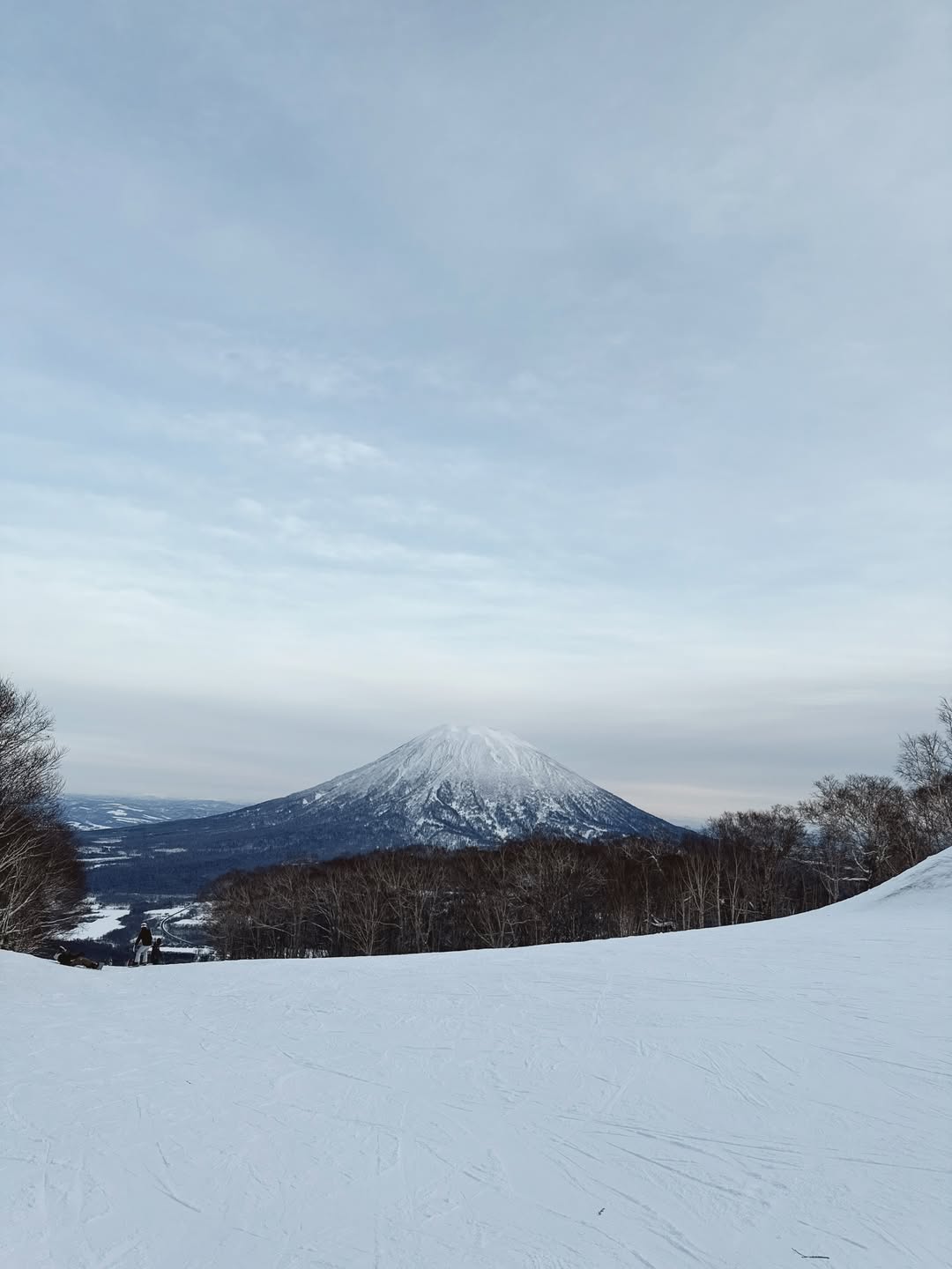 นิวเคลียร์ - หรรษา จึงวิวัฒนวงศ์