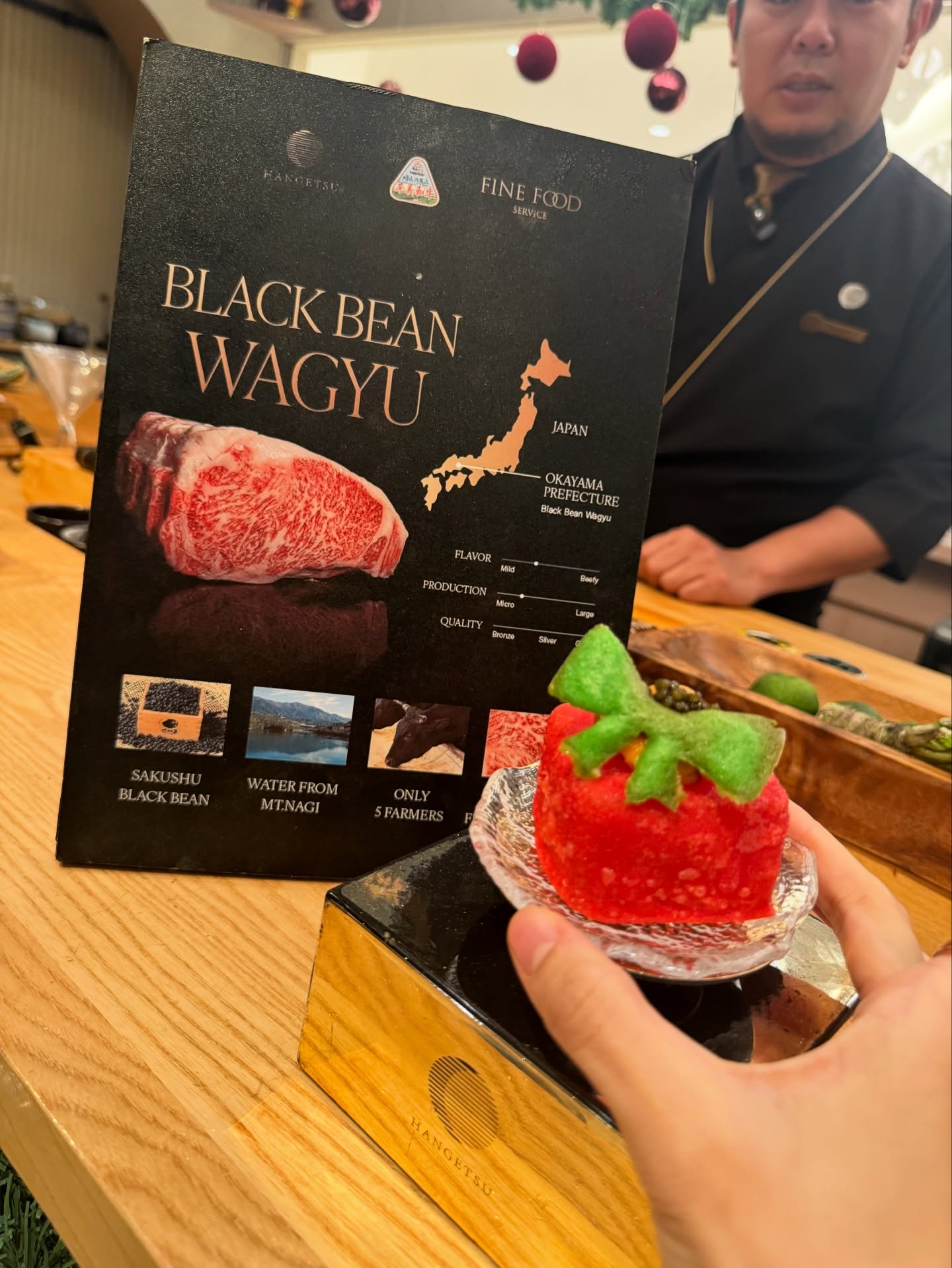 นิวเคลียร์ - หรรษา จึงวิวัฒนวงศ์