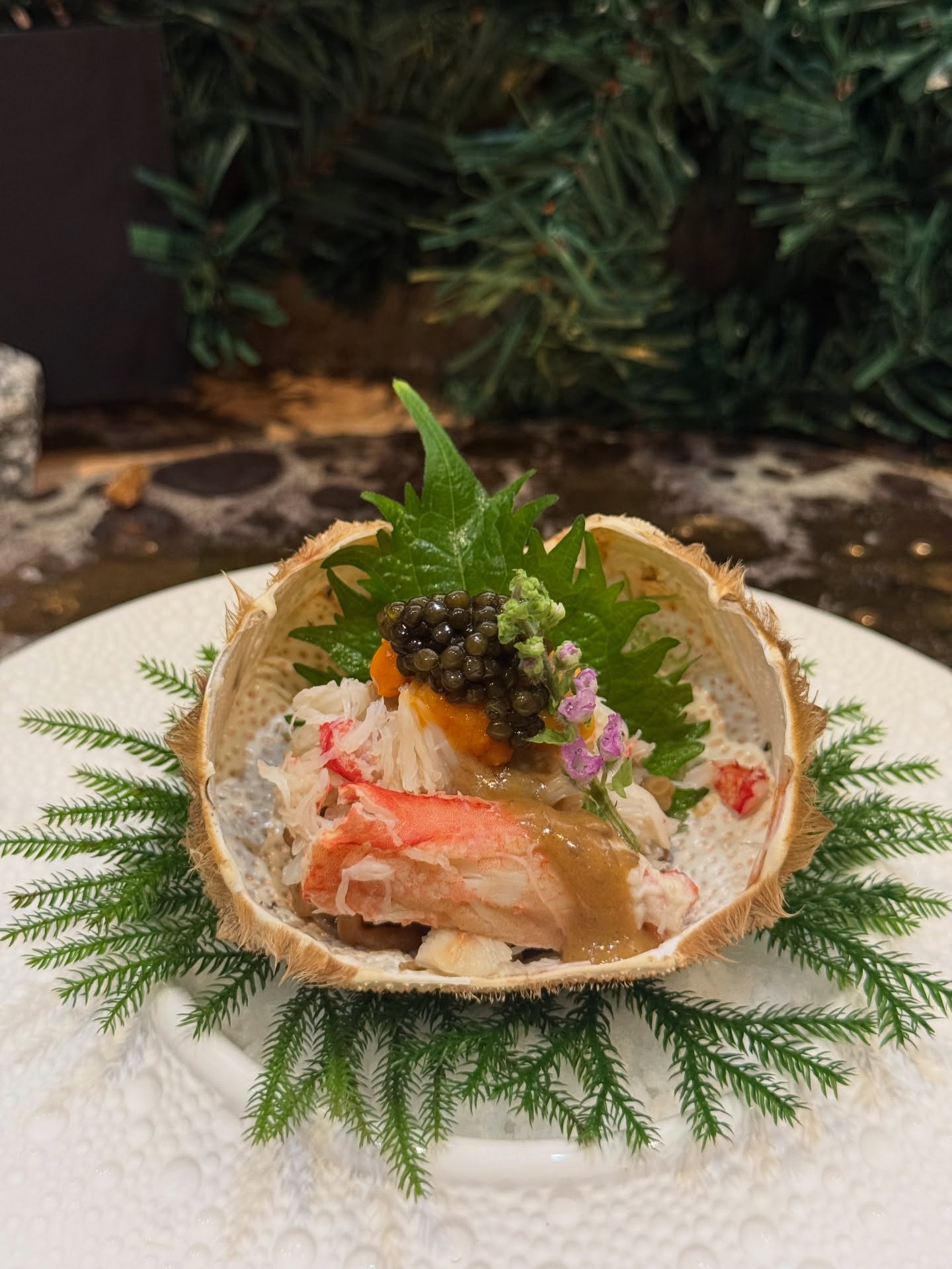 นิวเคลียร์ - หรรษา จึงวิวัฒนวงศ์