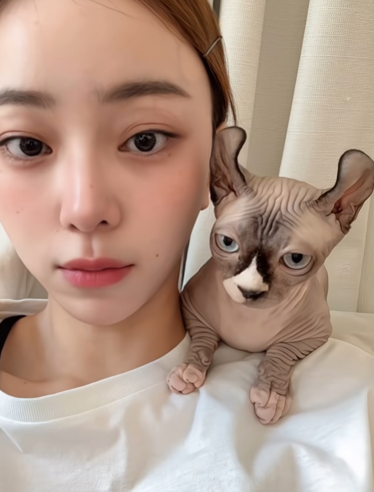 นิวเคลียร์ - หรรษา จึงวิวัฒนวงศ์