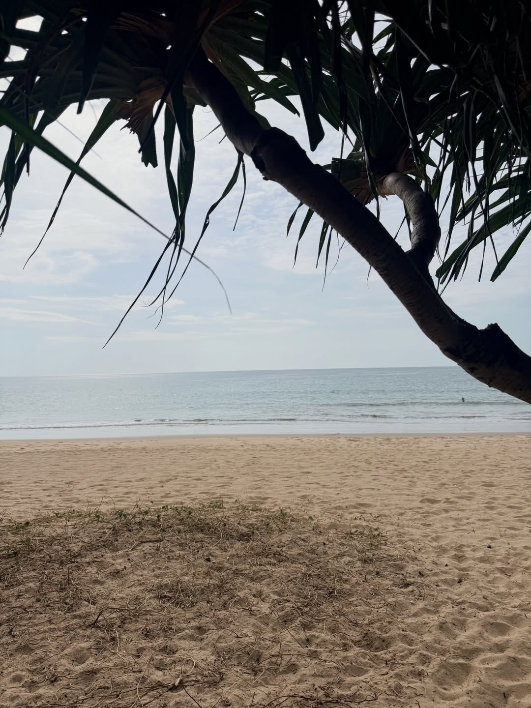 นิวเคลียร์ - หรรษา จึงวิวัฒนวงศ์