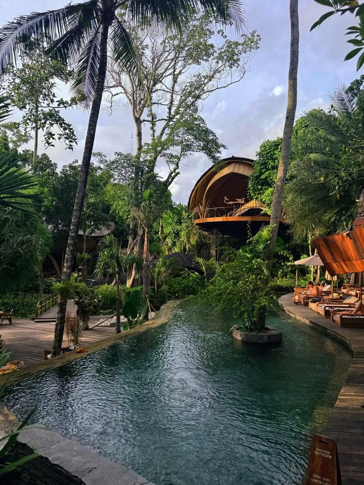 นิวเคลียร์ - หรรษา จึงวิวัฒนวงศ์