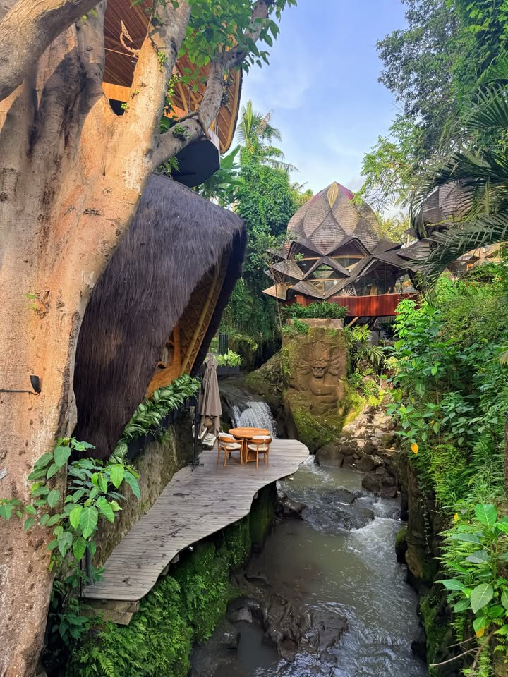 นิวเคลียร์ - หรรษา จึงวิวัฒนวงศ์