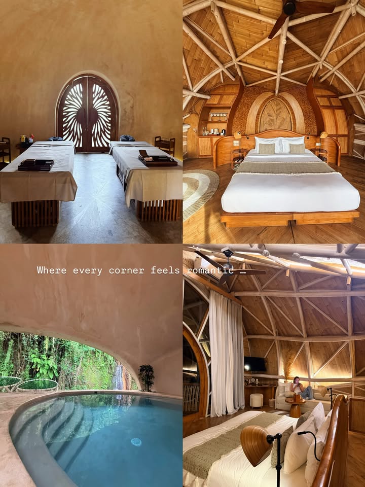 นิวเคลียร์ - หรรษา จึงวิวัฒนวงศ์