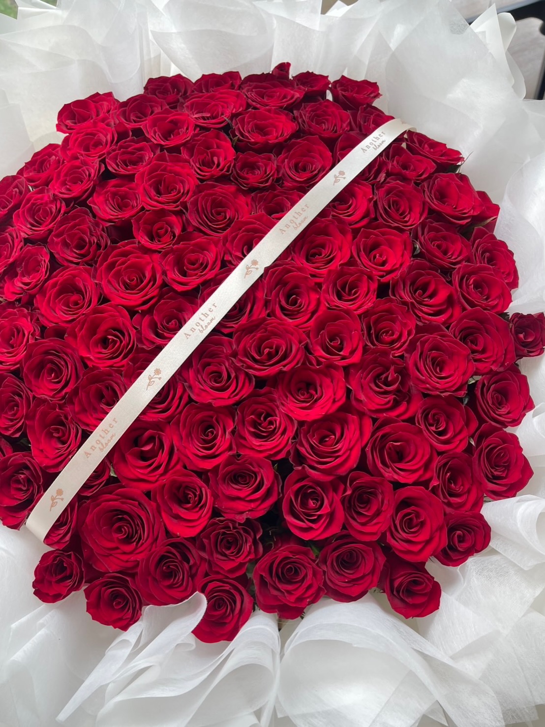 นิวเคลียร์ - หรรษา จึงวิวัฒนวงศ์