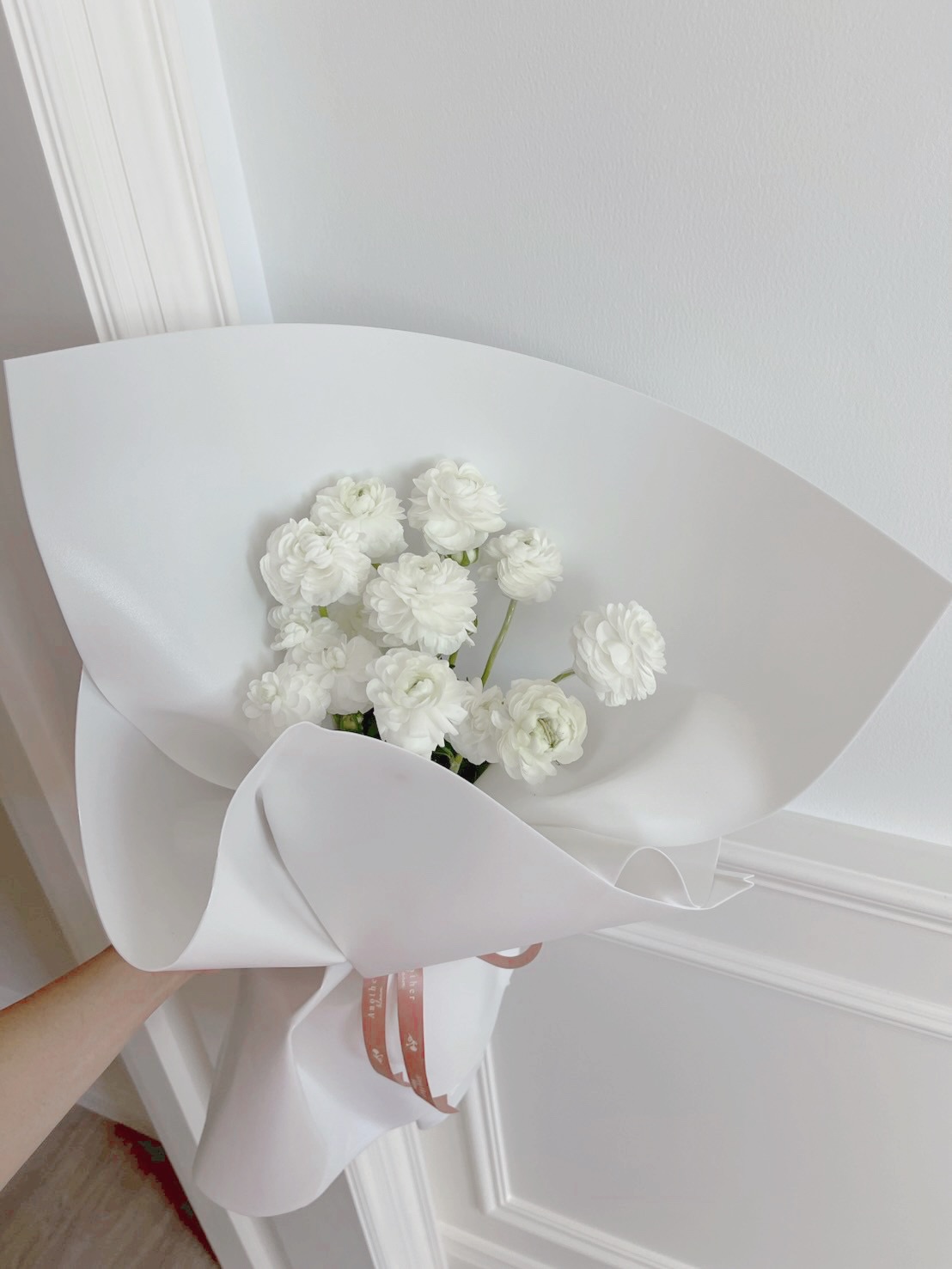 นิวเคลียร์ - หรรษา จึงวิวัฒนวงศ์