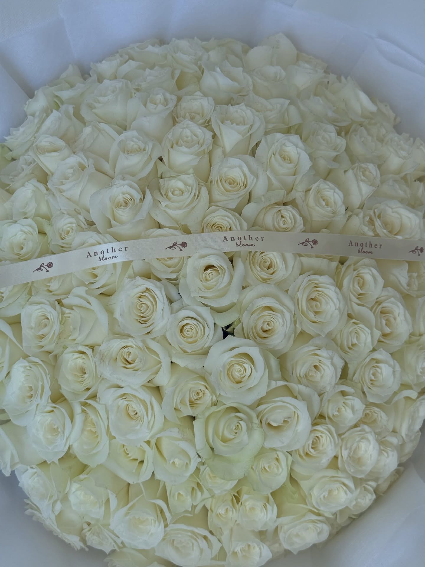 นิวเคลียร์ - หรรษา จึงวิวัฒนวงศ์