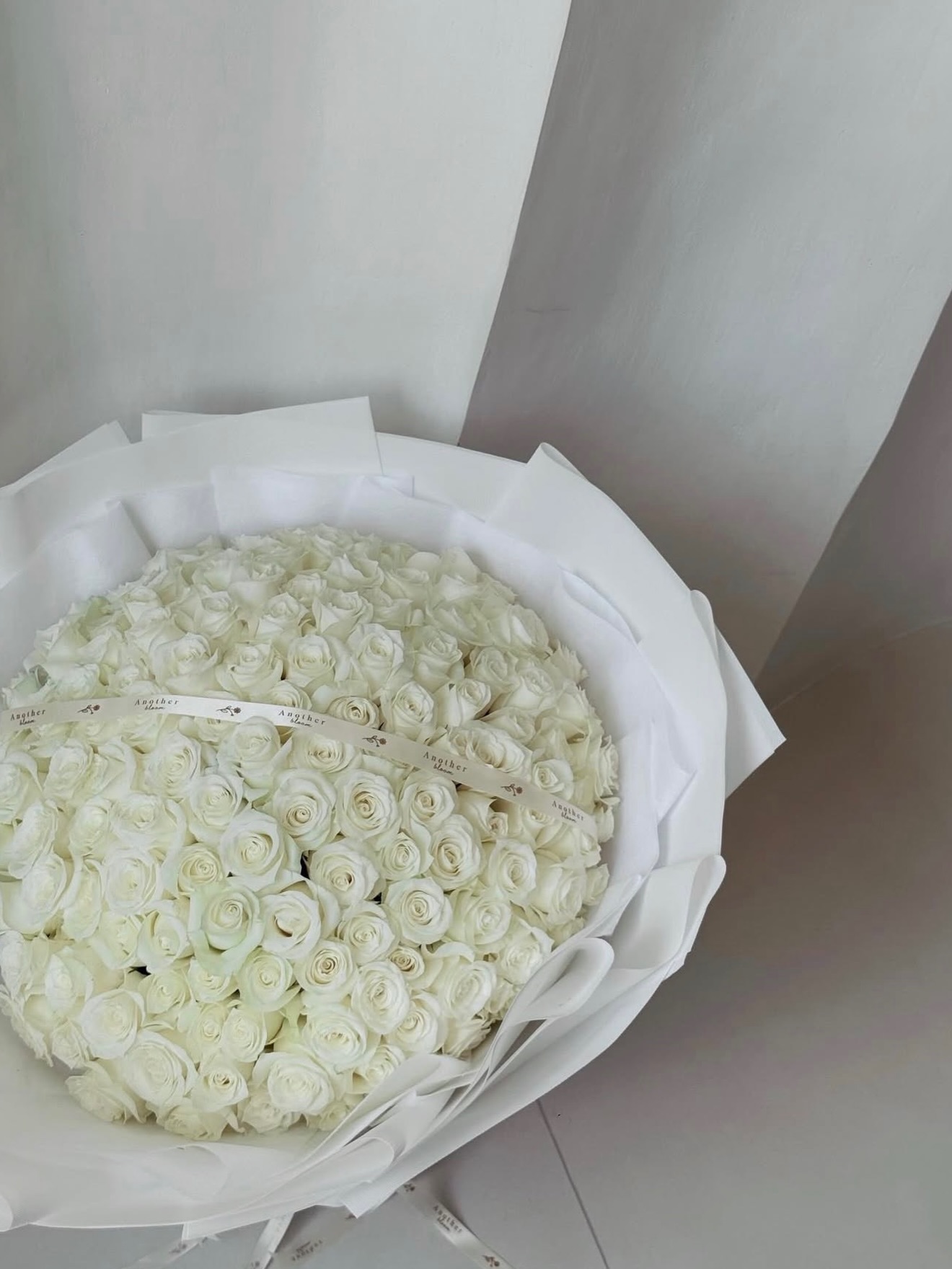 นิวเคลียร์ - หรรษา จึงวิวัฒนวงศ์